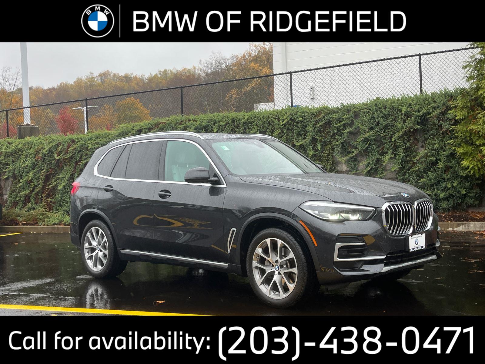 2019 Bmw X5 xDrive40i photo 2