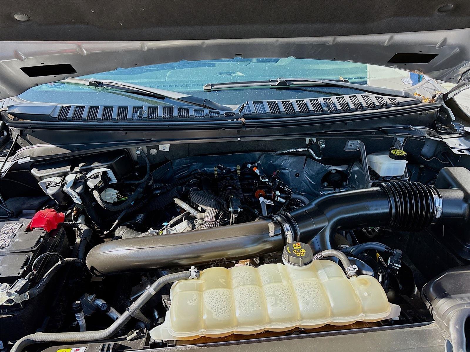 2023 Ford Expedition Max XLT