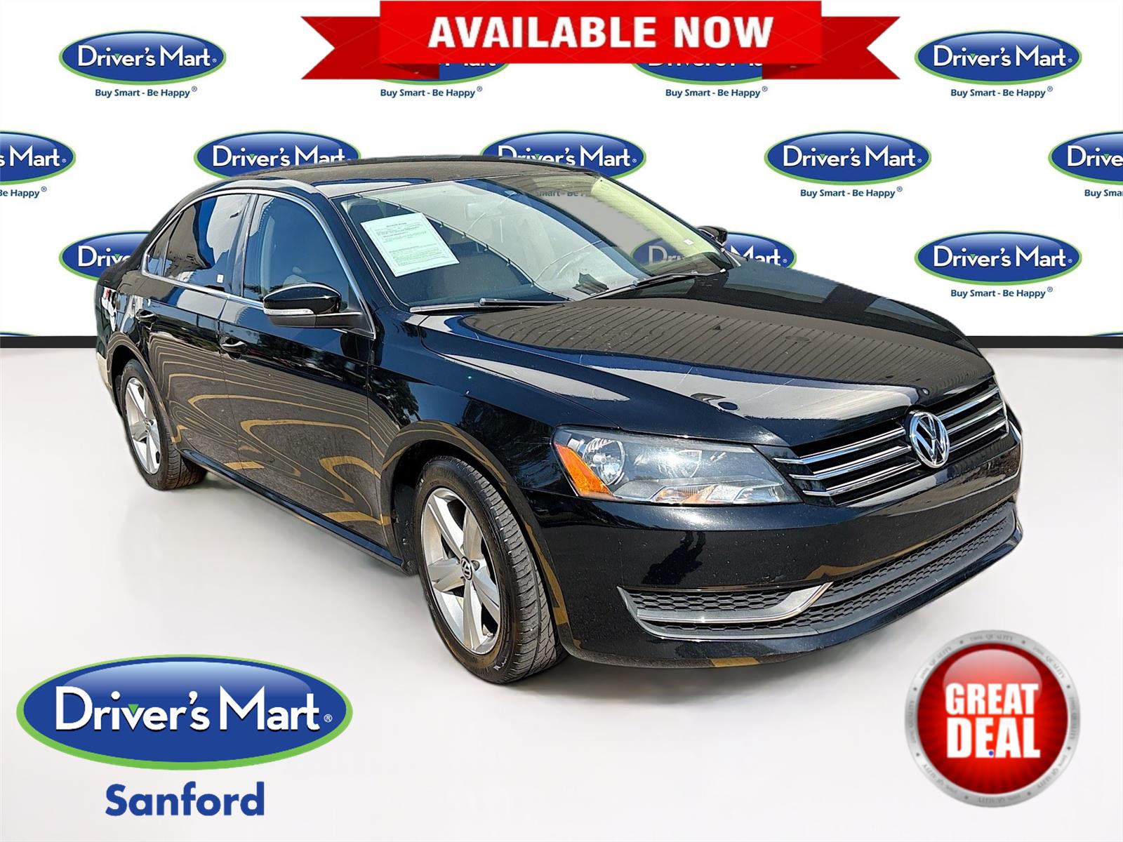 2013 Volkswagen Passat SE