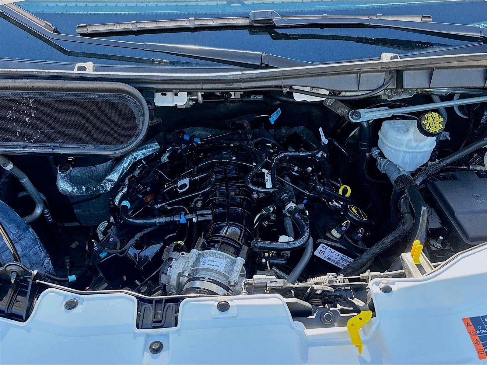 2023 Ford Transit Passenger Wagon XLT