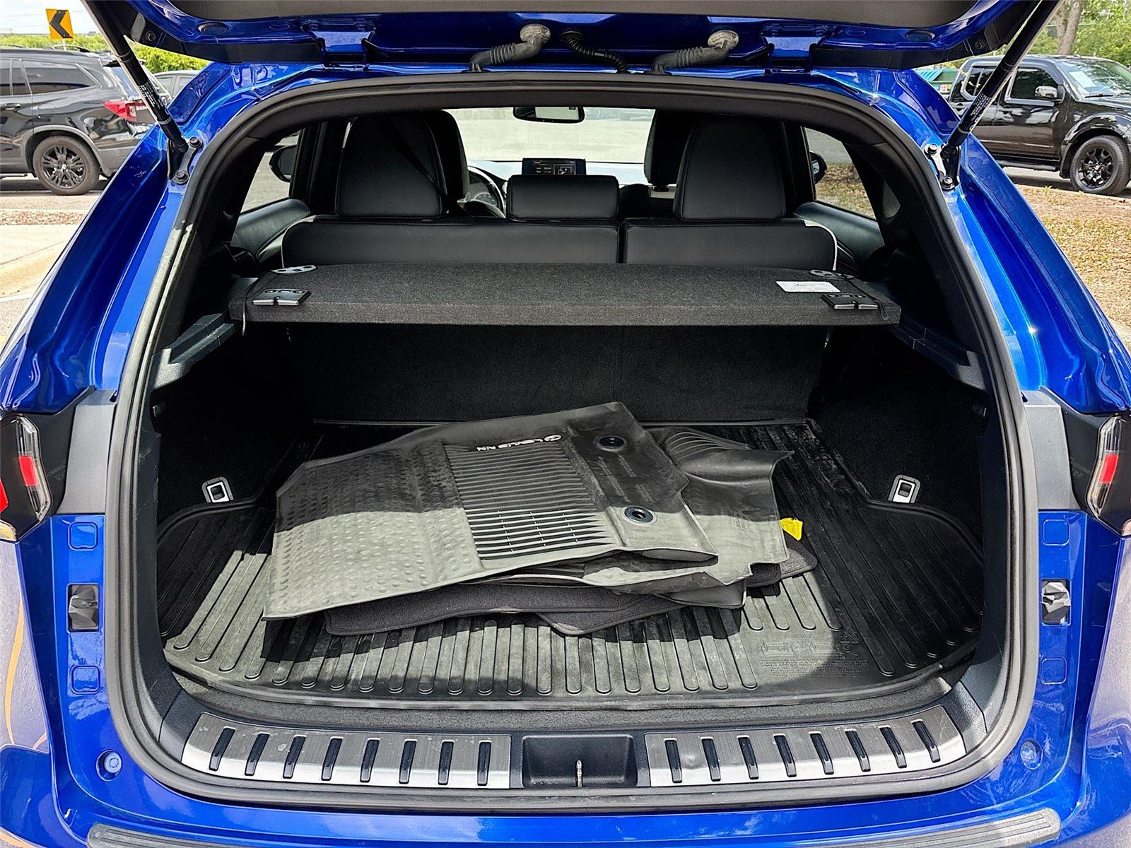 2021 Lexus NX NX 300 F SPORT