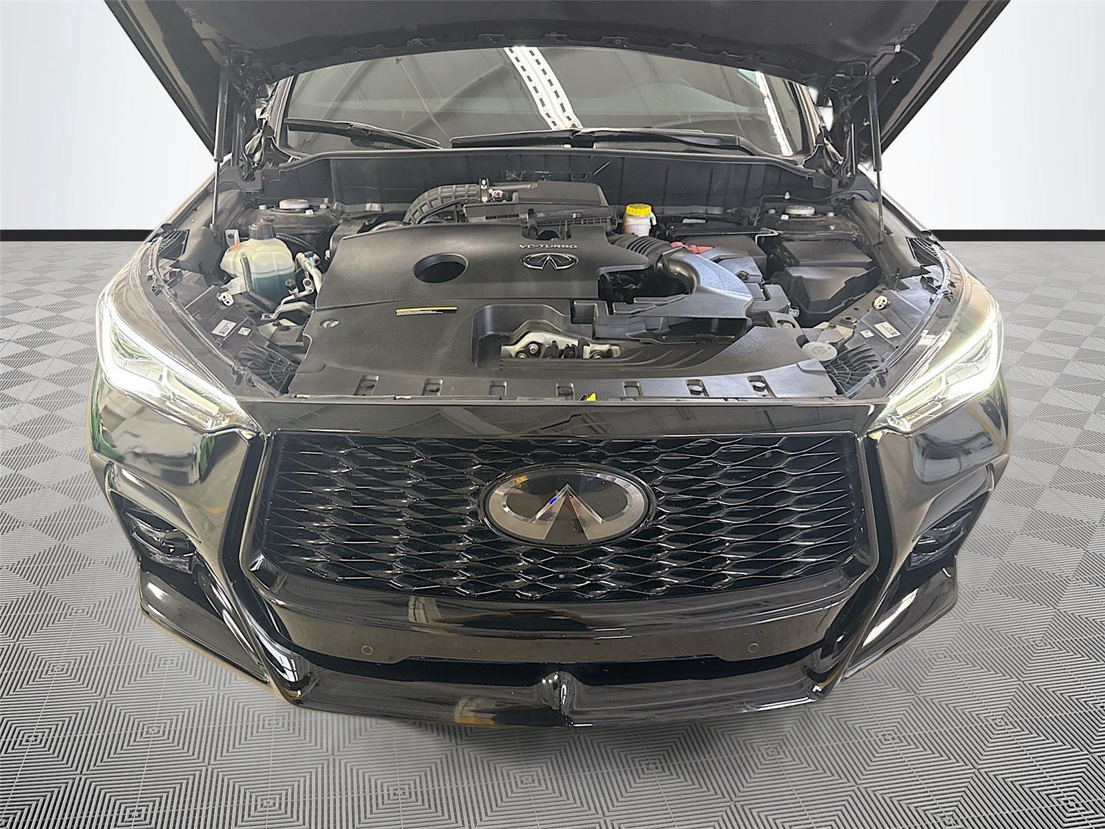 2024 INFINITI QX50 SPORT
