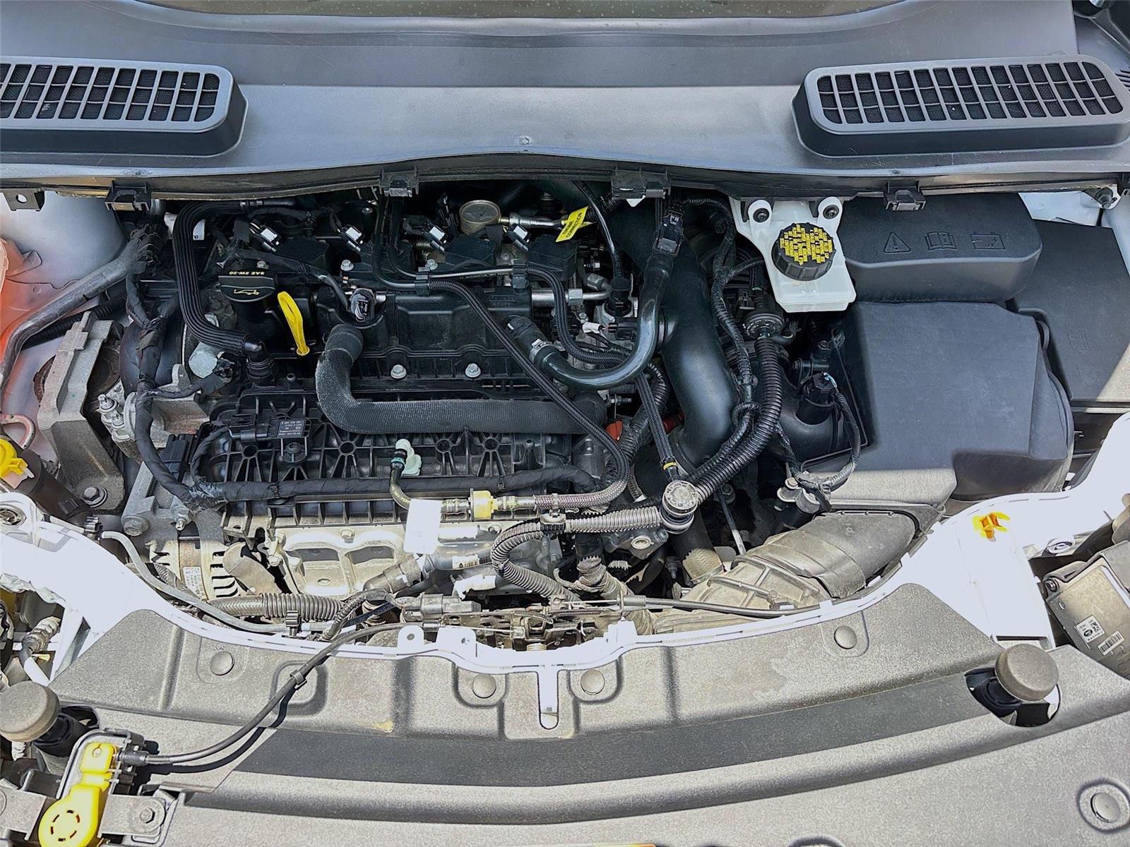 2019 Ford Escape SE