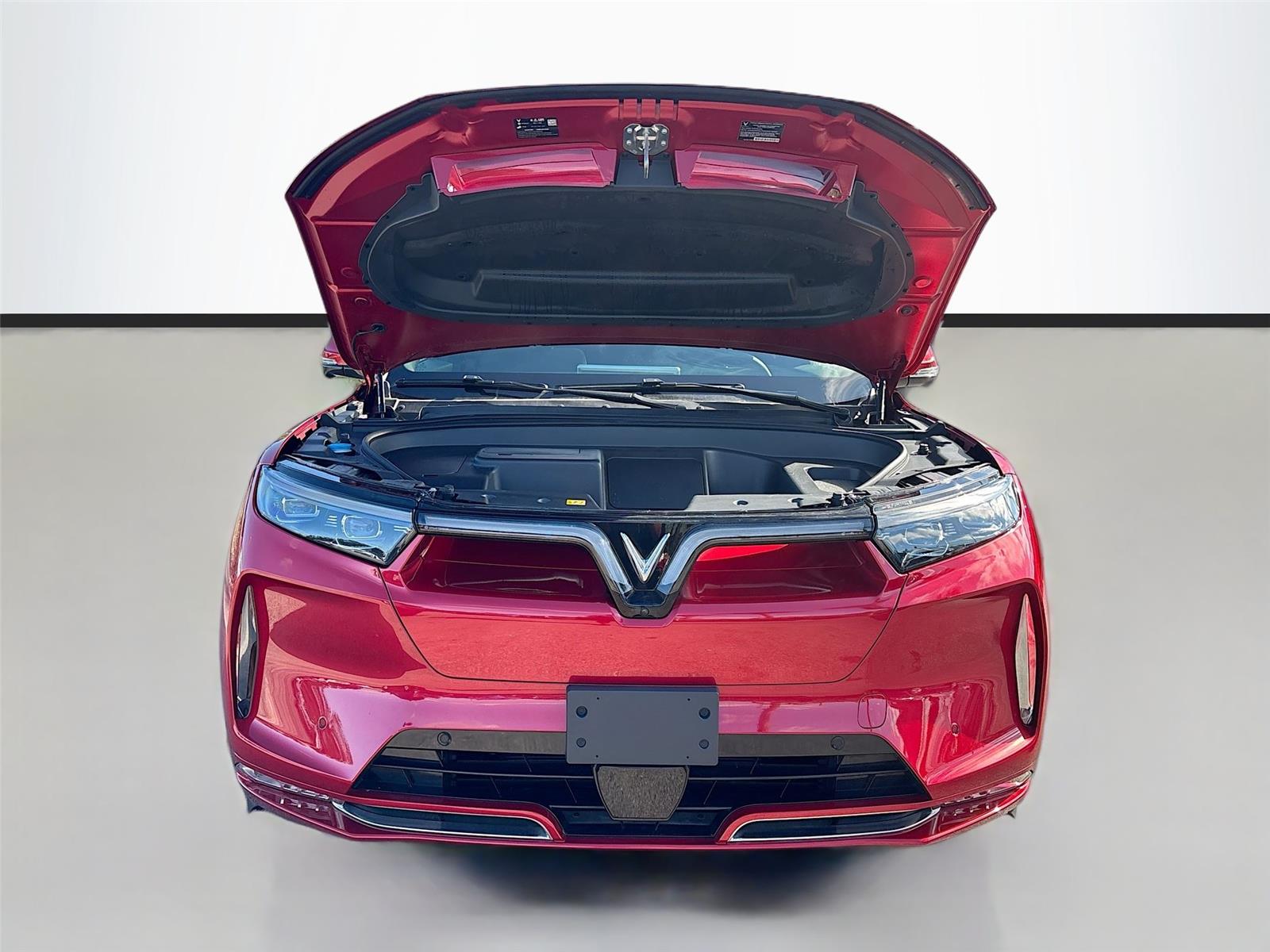 2024 VinFast VF 9 Plus