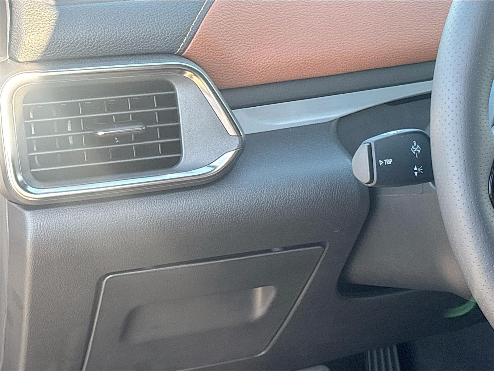 2025 VinFast VF 8 Plus