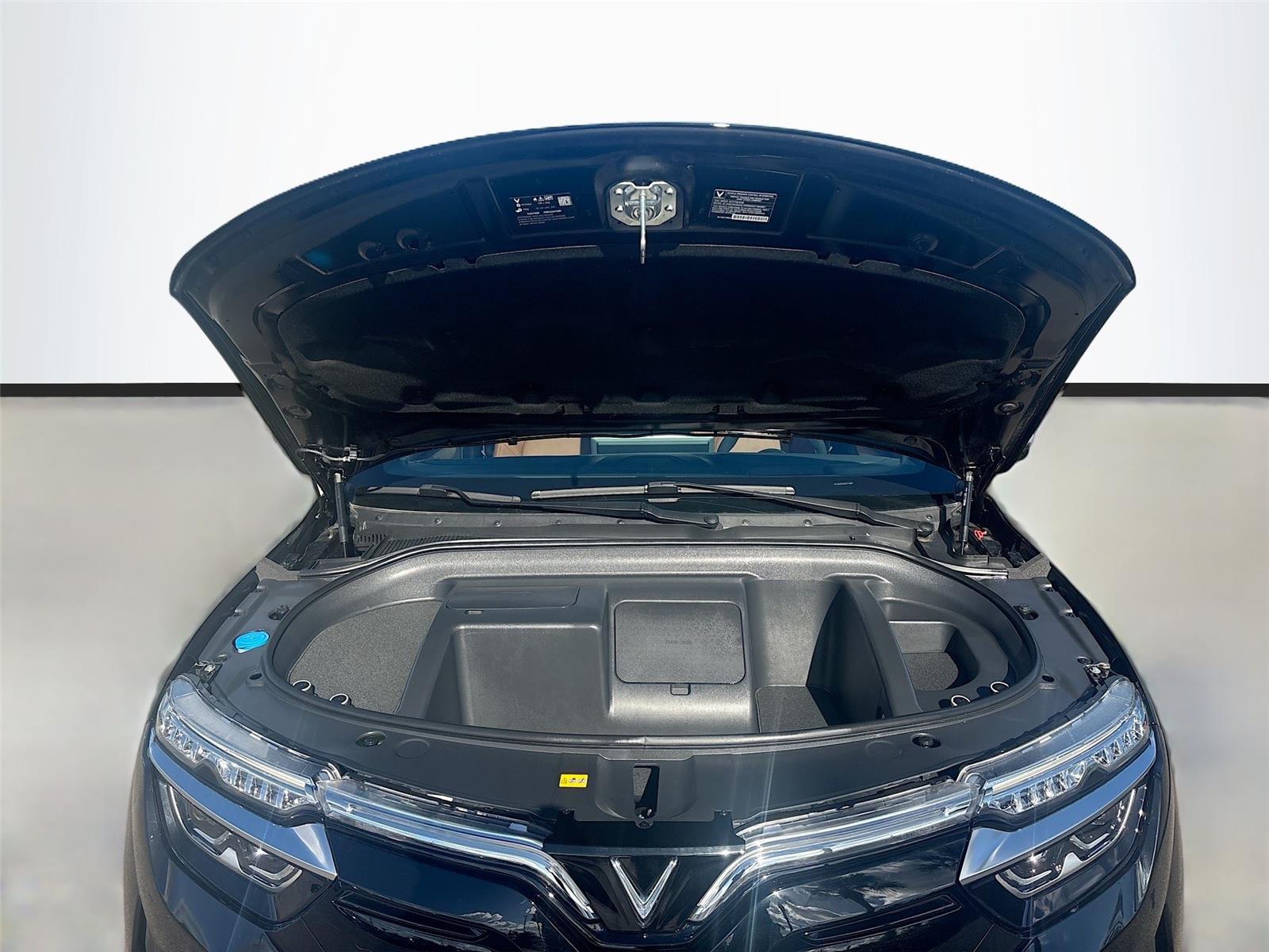 2025 VinFast VF 8 Plus