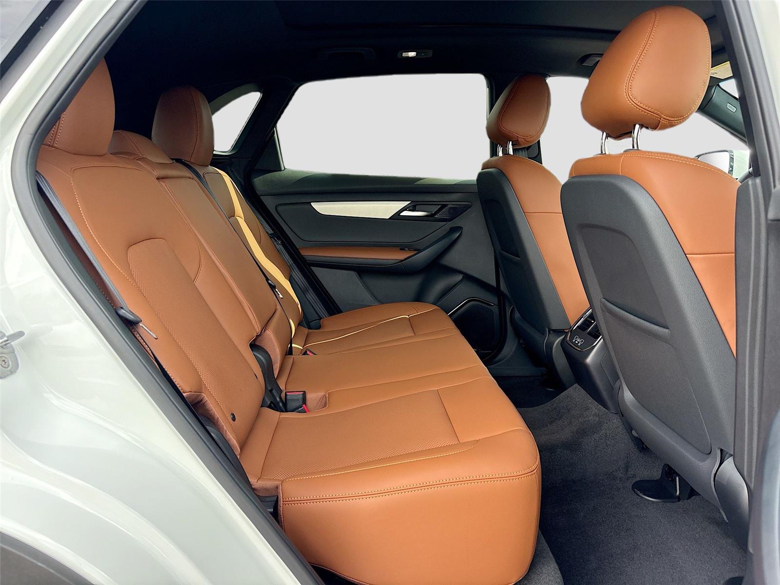 2025 VinFast VF 8 Plus