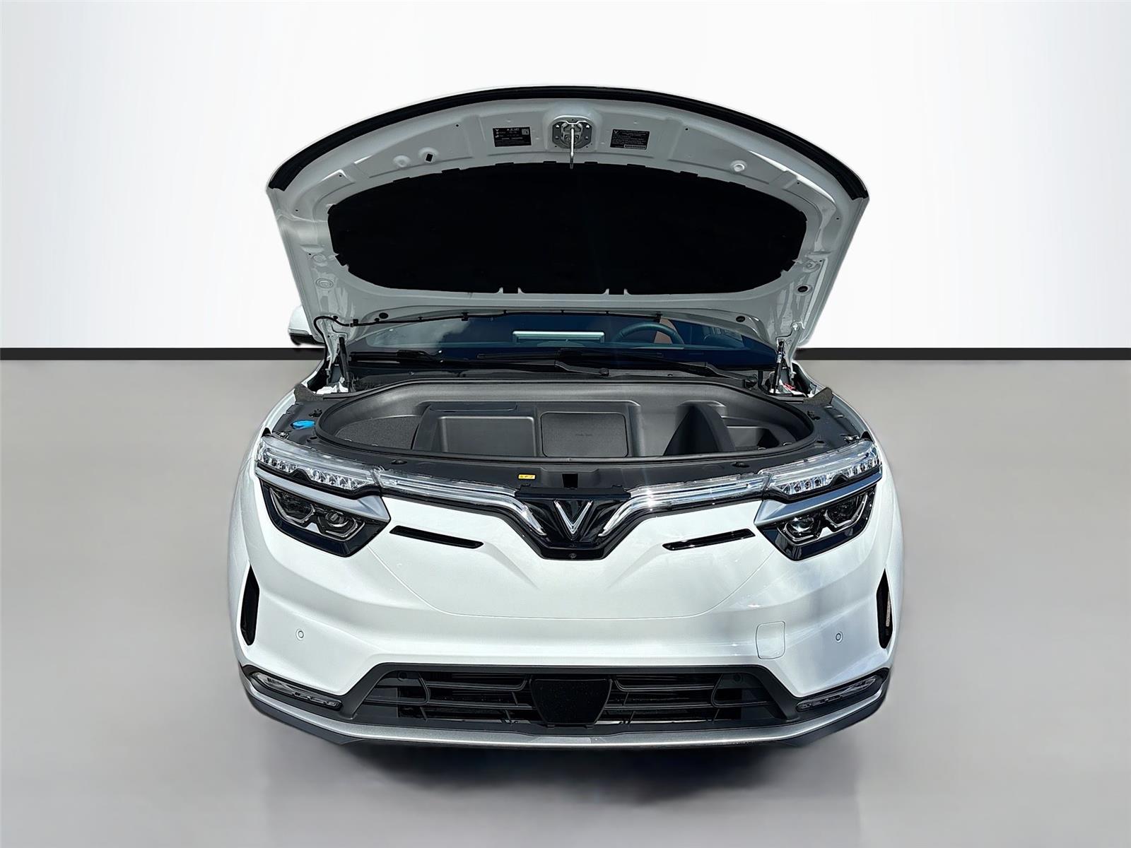 2025 VinFast VF 8 Plus