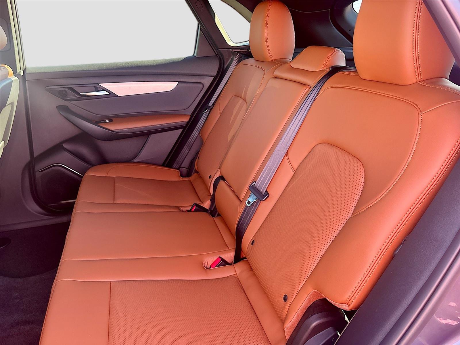 2025 VinFast VF 8 Plus