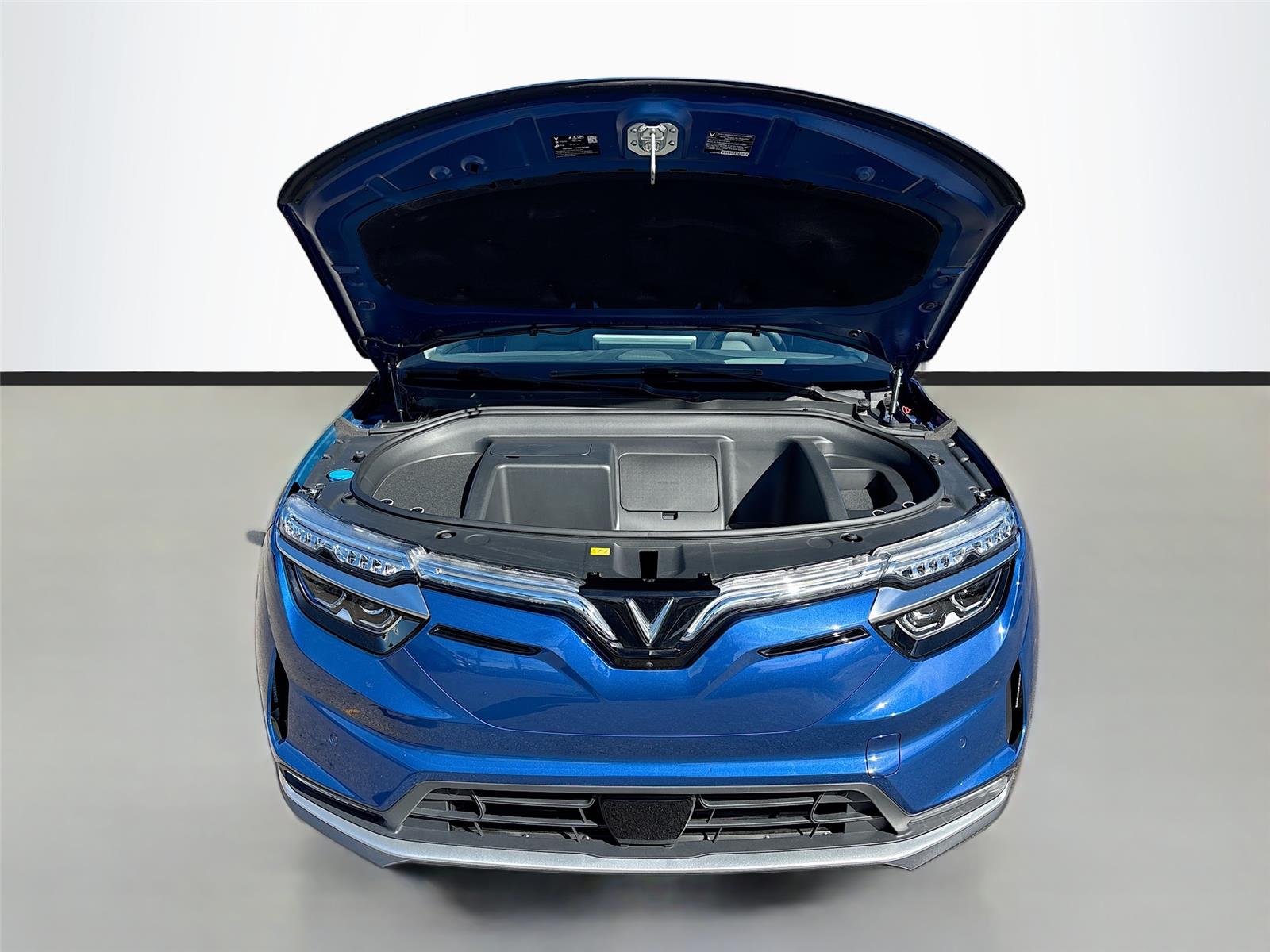 2025 VinFast VF 8 Eco