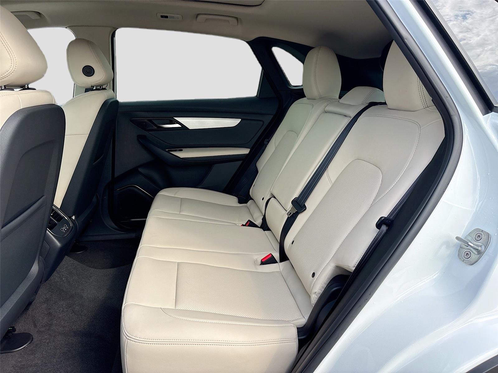 2025 VinFast VF 8 Plus