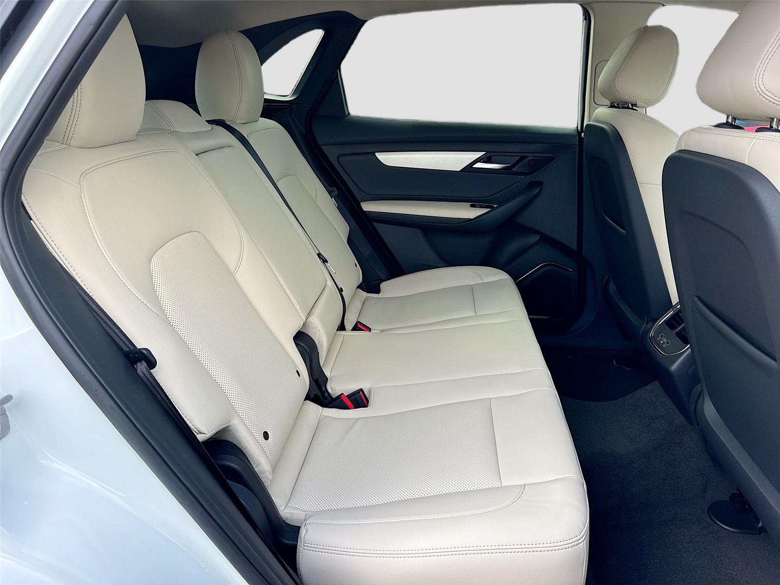 2025 VinFast VF 8 Plus