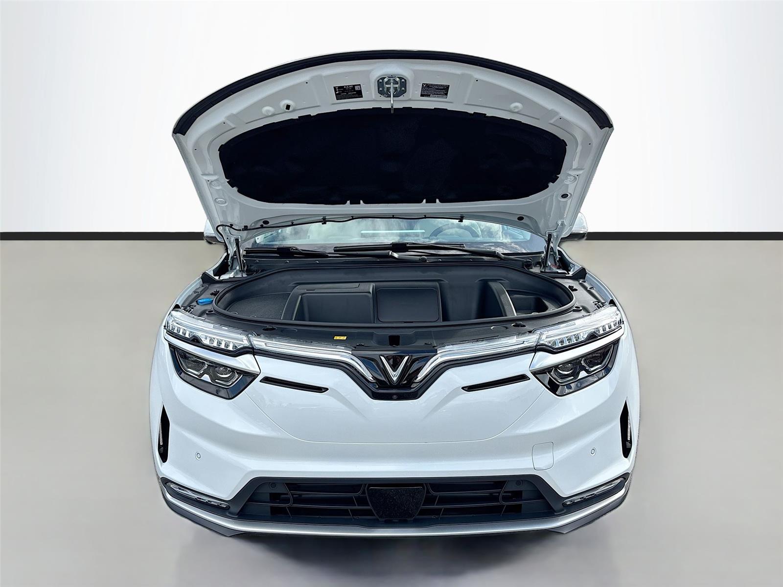 2025 VinFast VF 8 Plus