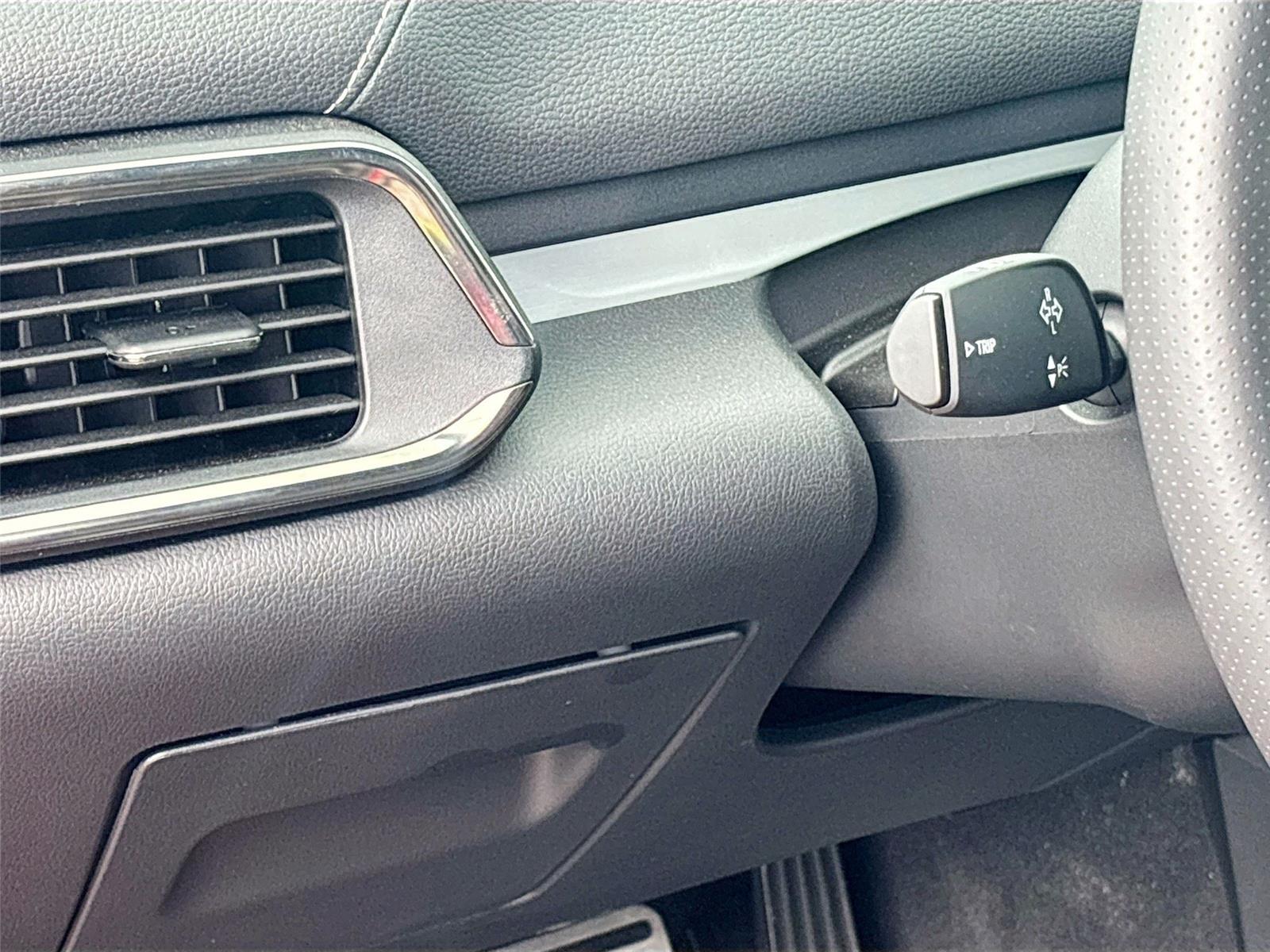 2025 VINFAST TRAD VF 8 PLUS