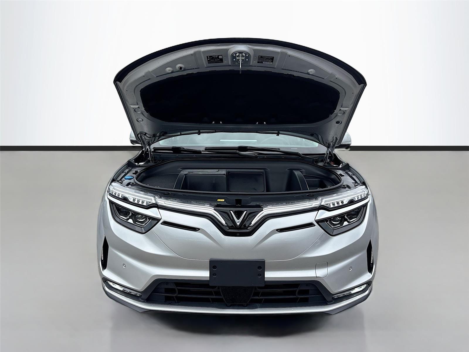 2025 VinFast VF 8 Eco