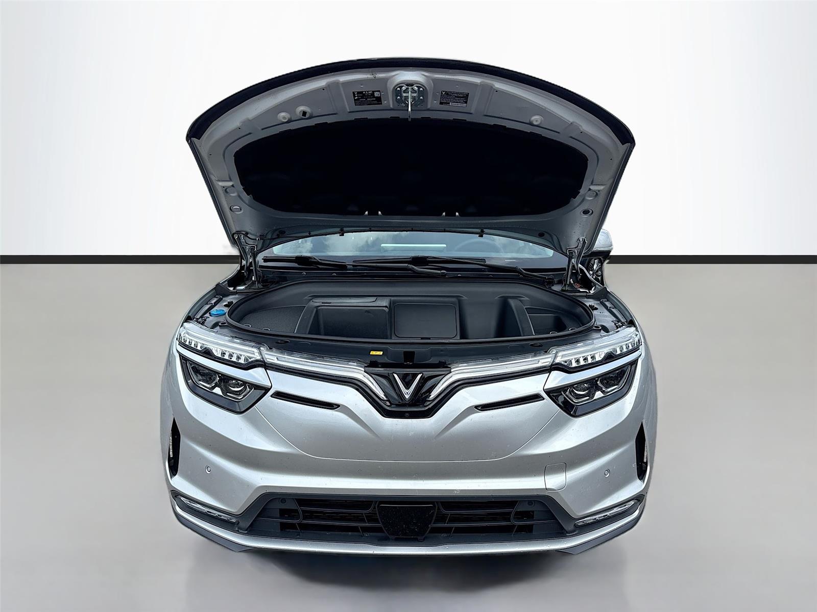 2025 VinFast VF 8 Eco