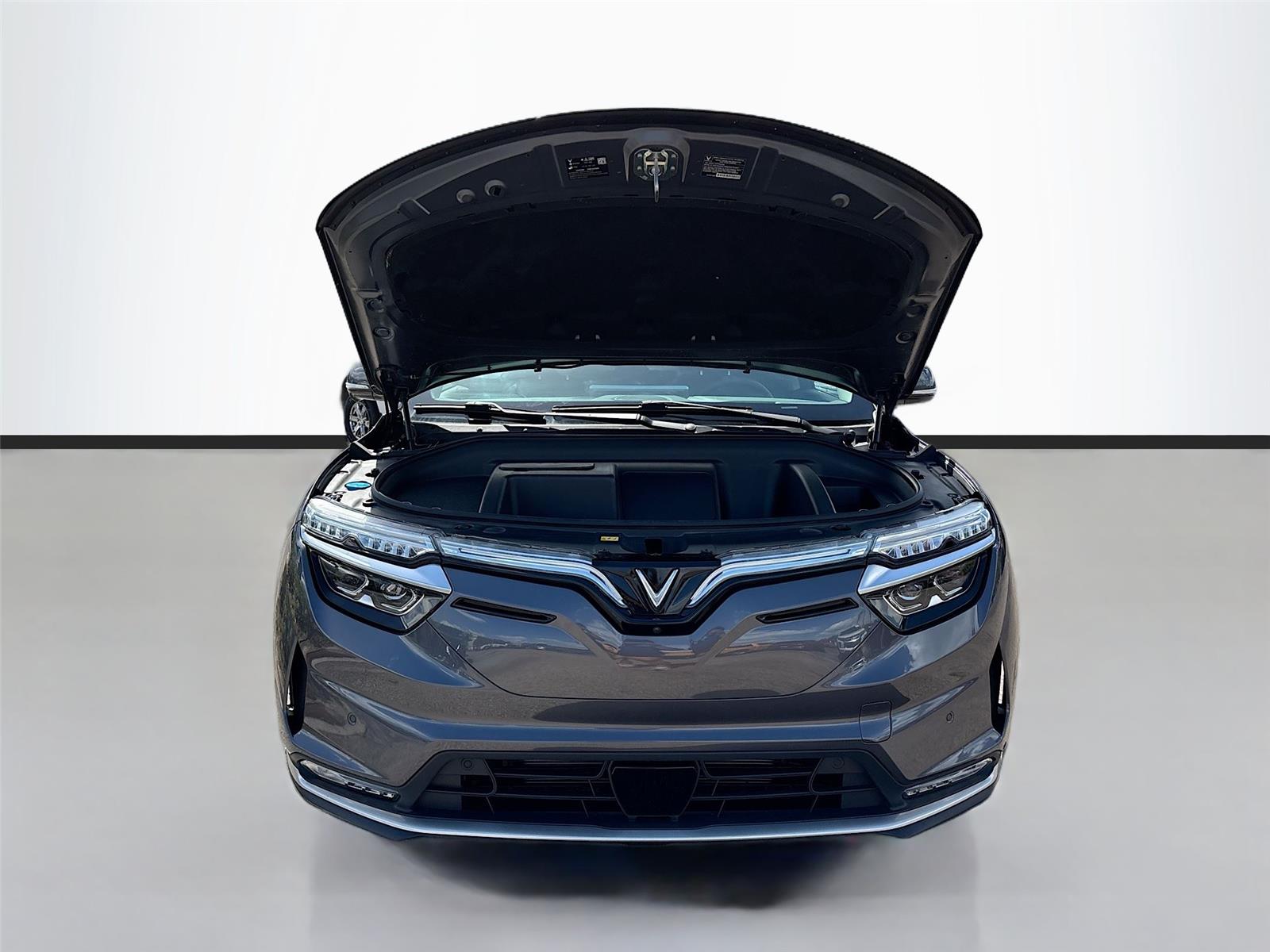 2025 VinFast VF 8 Eco