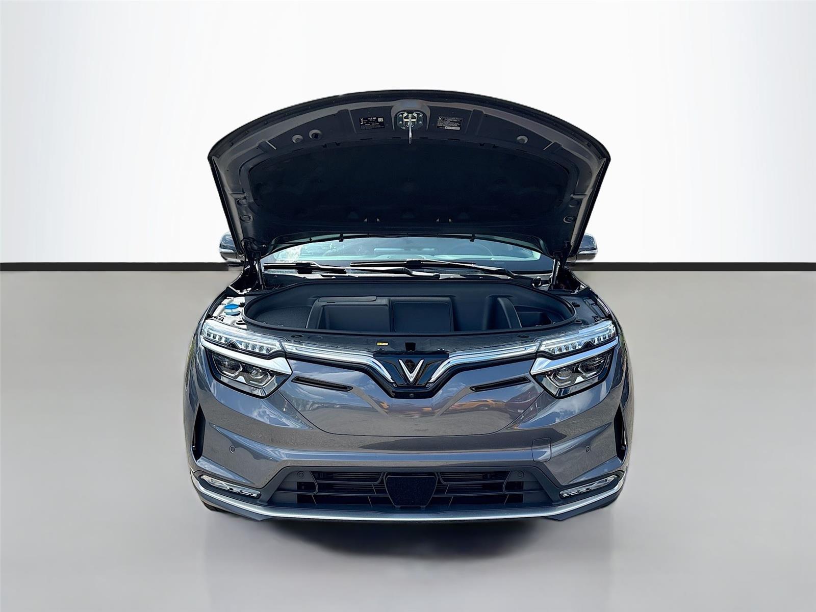 2025 VinFast VF 8 Eco