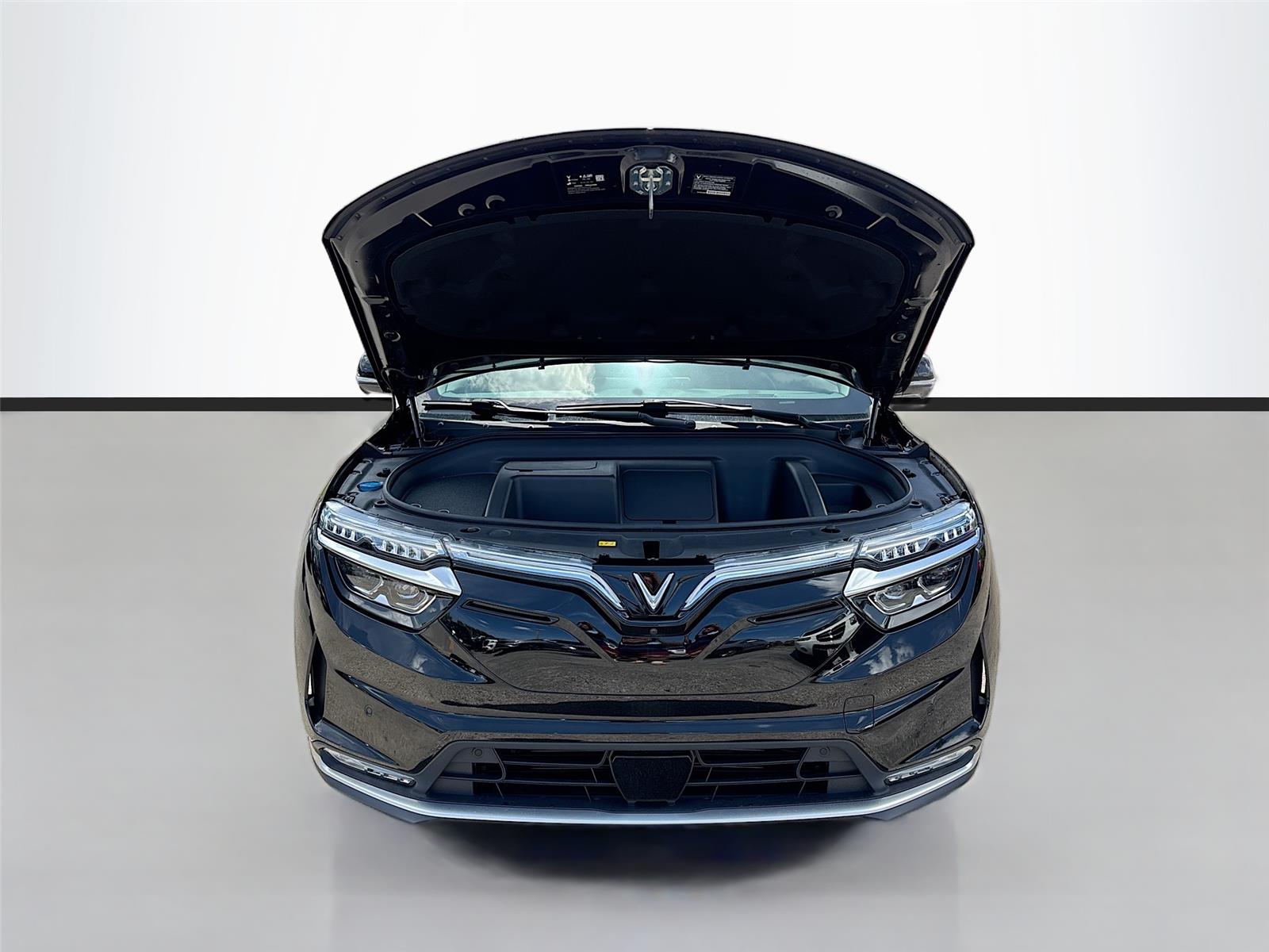 2025 VinFast VF 8 Eco