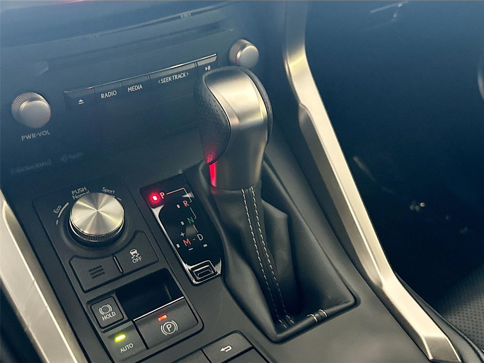 2021 Lexus NX NX 300 F SPORT