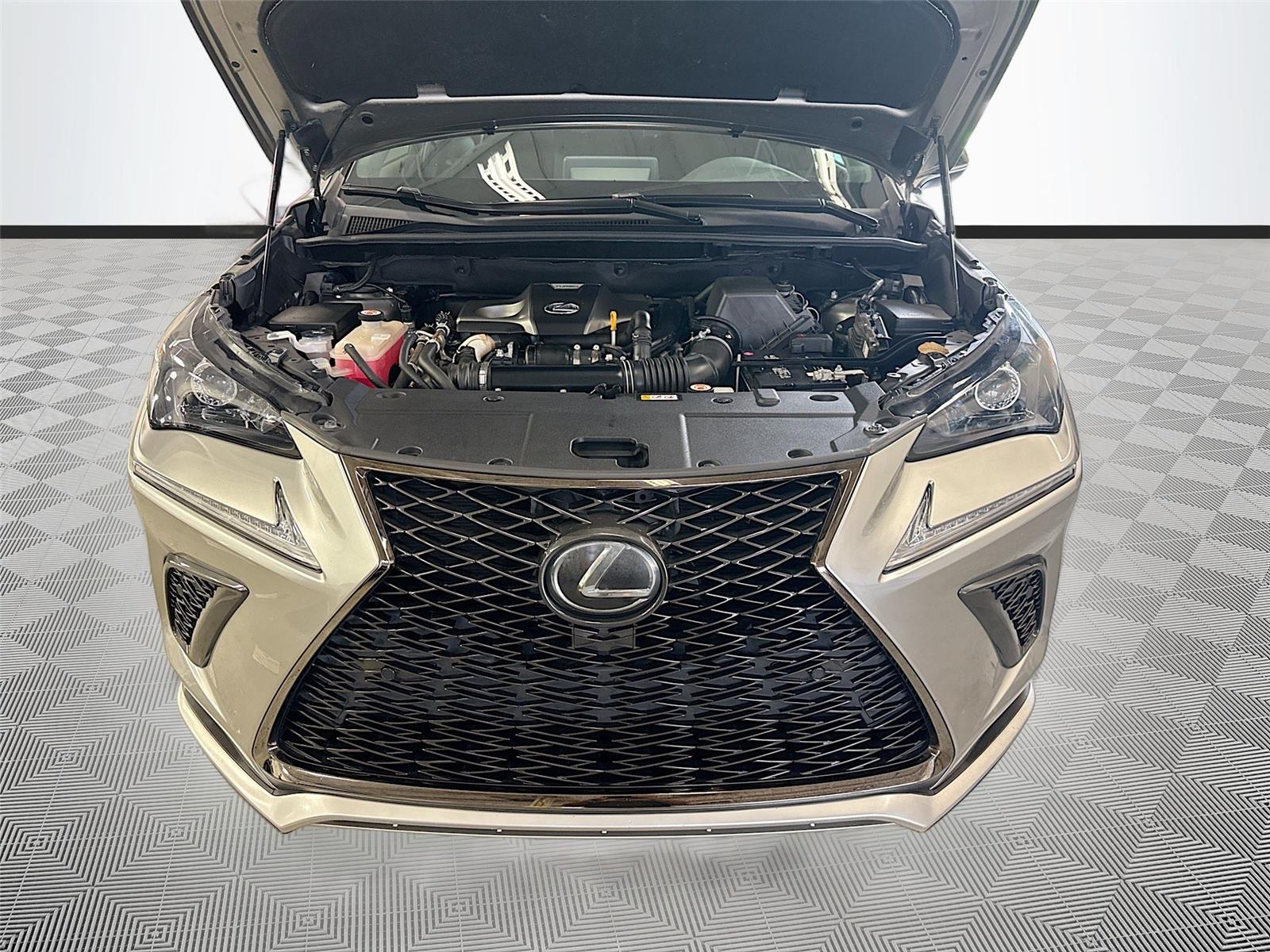 2021 Lexus NX NX 300 F SPORT