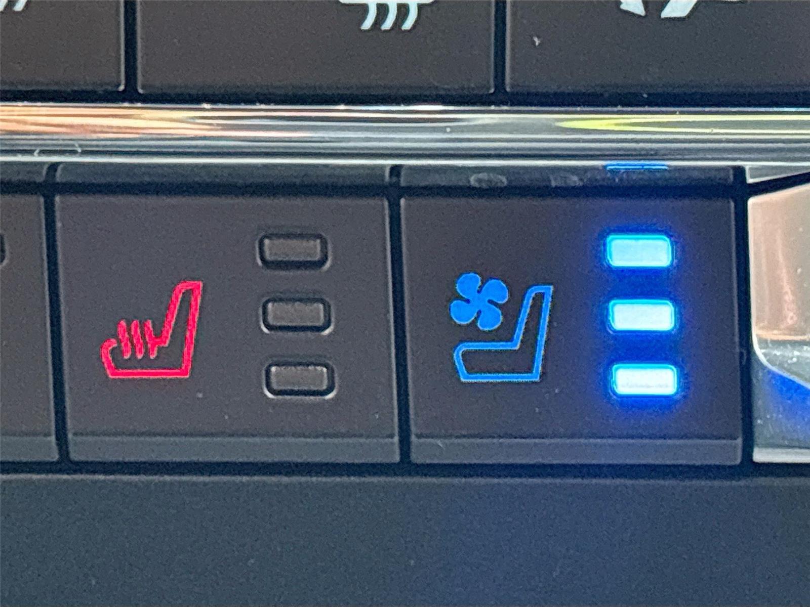 2025 Ford Super Duty F-250 SRW Platinum