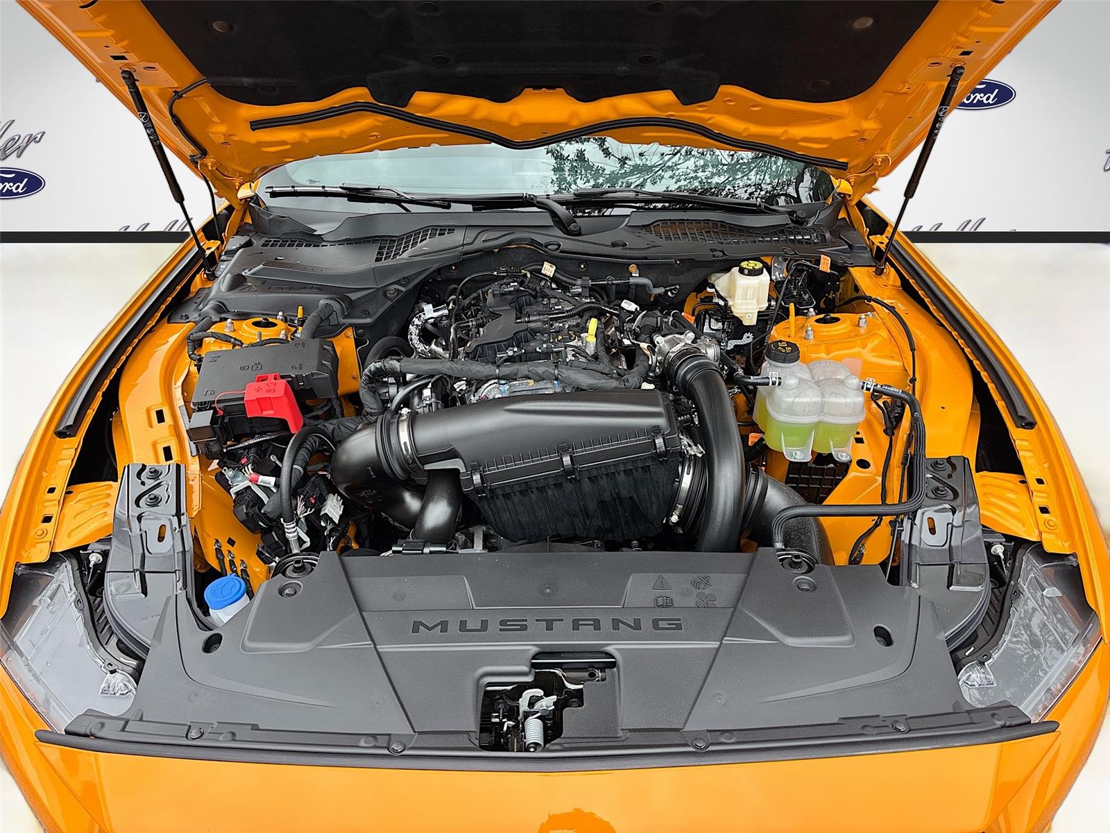 2026 Ford Mustang EcoBoost Premium