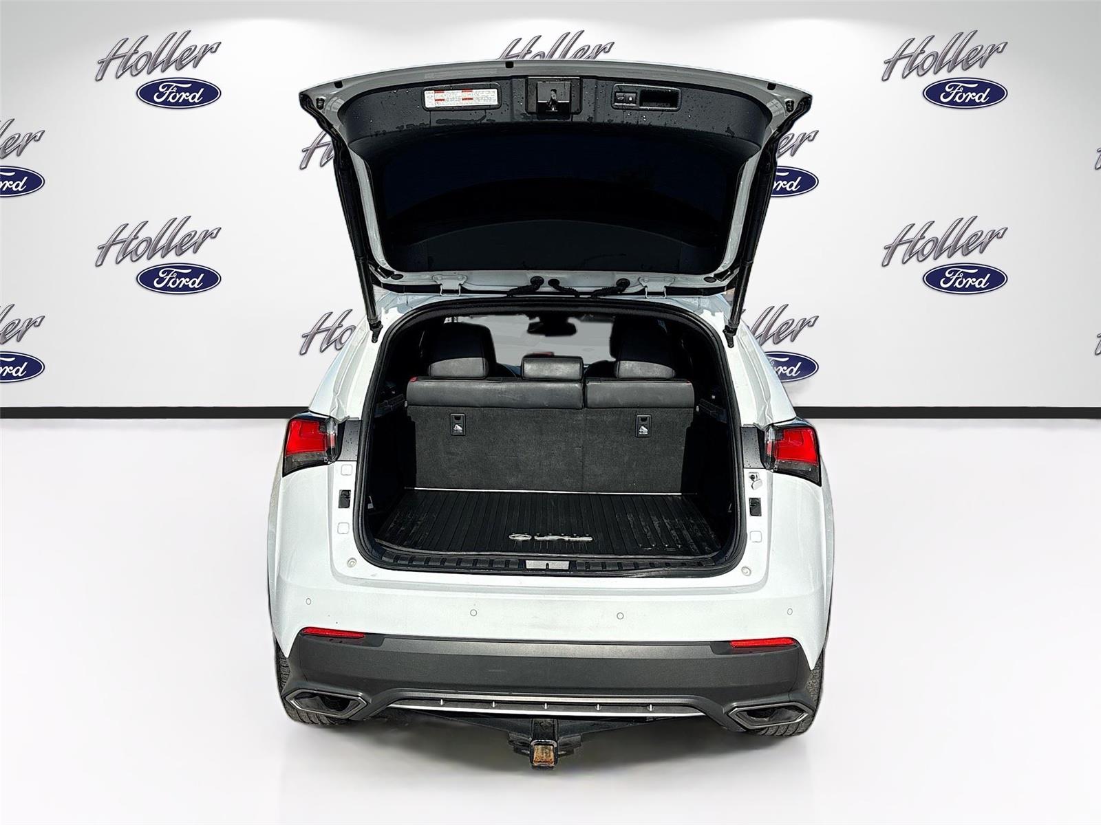 2020 Lexus NX NX 300 F SPORT