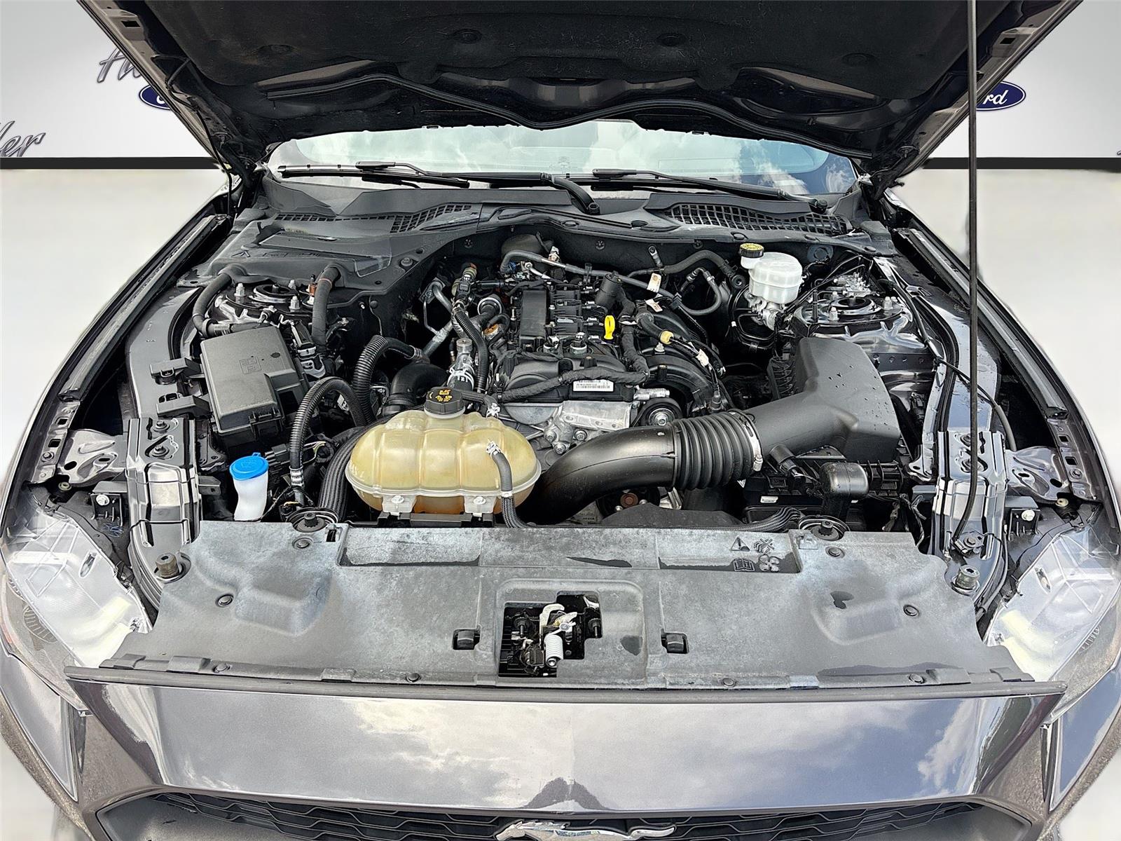 2022 Ford Mustang EcoBoost