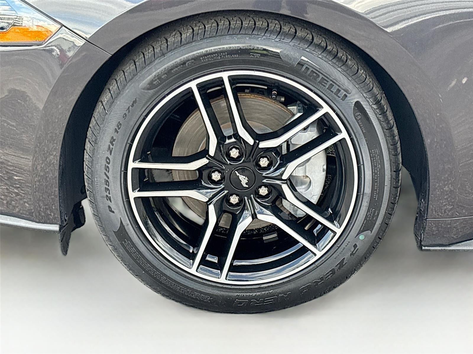 2022 Ford Mustang EcoBoost