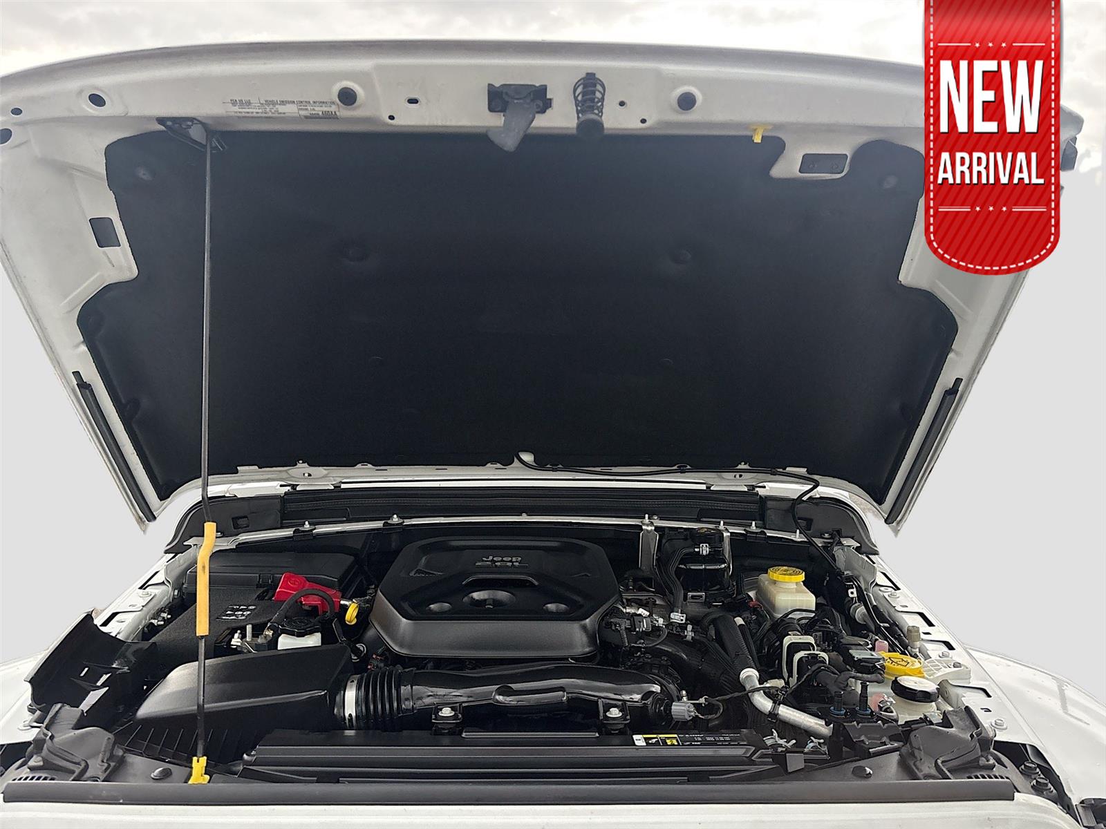 2019 Jeep Wrangler Unlimited Sahara Altitude