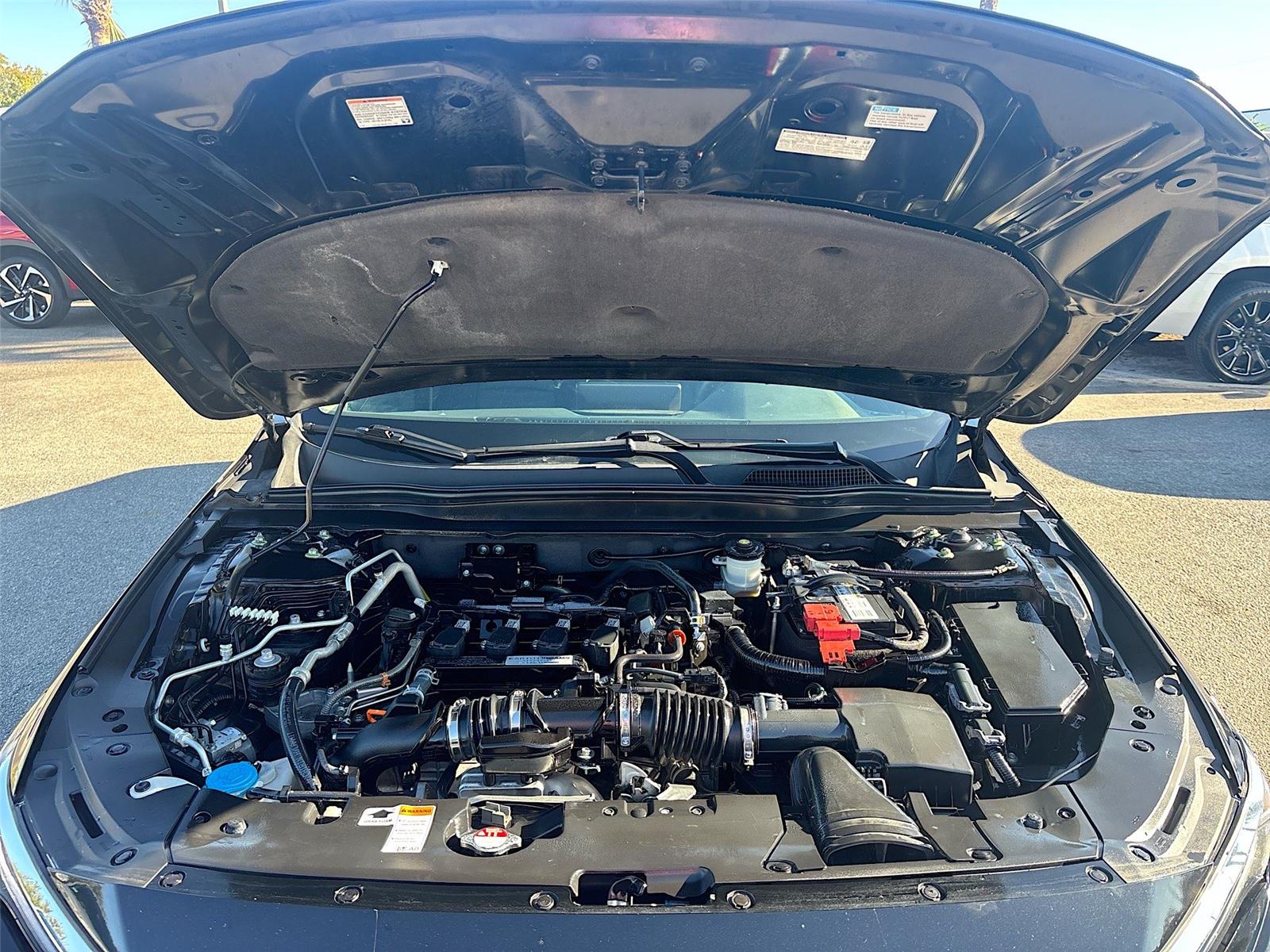 2019 Honda Accord Sedan LX 1.5T