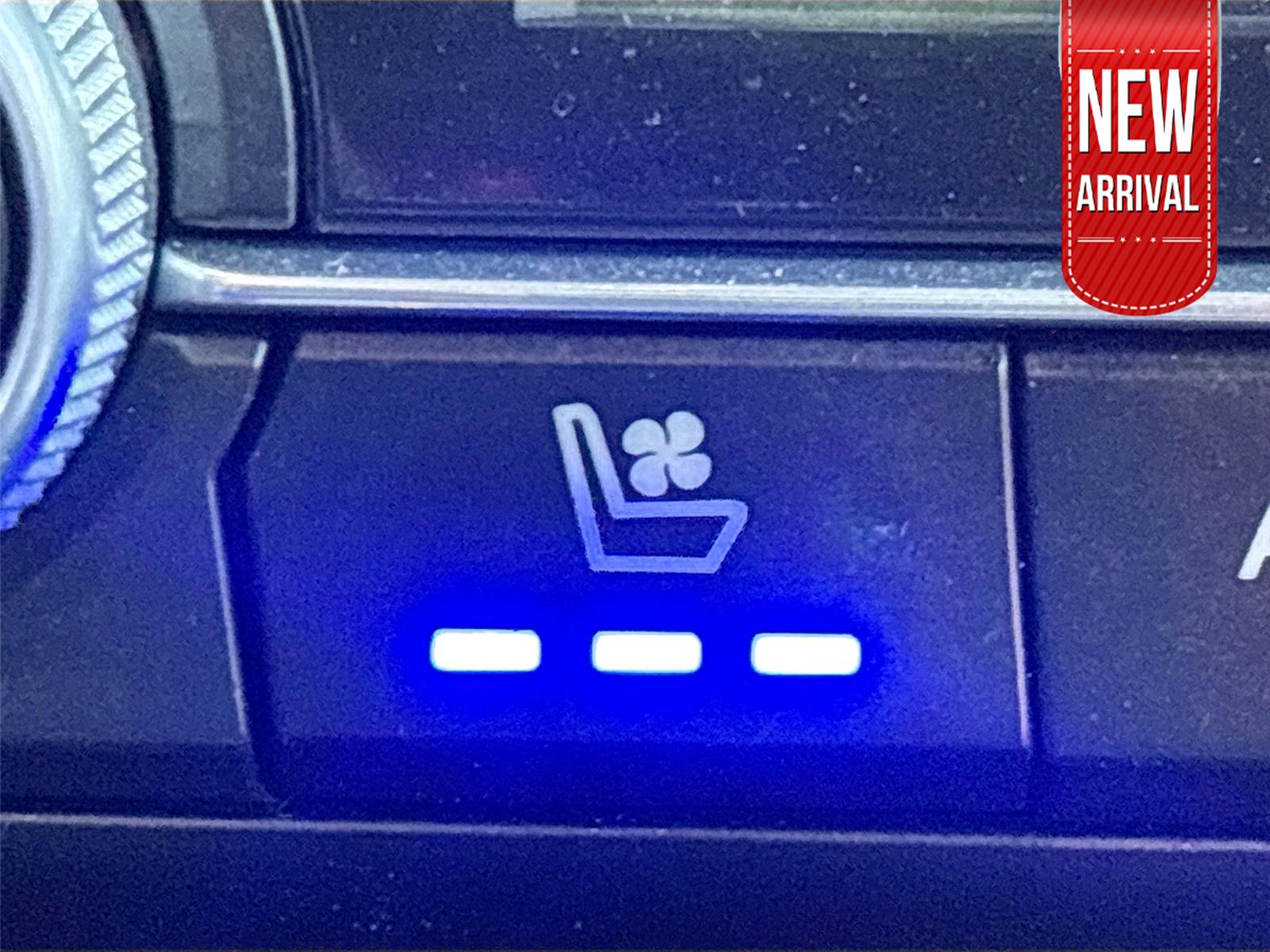 2021 Mazda CX-9 Carbon Edition