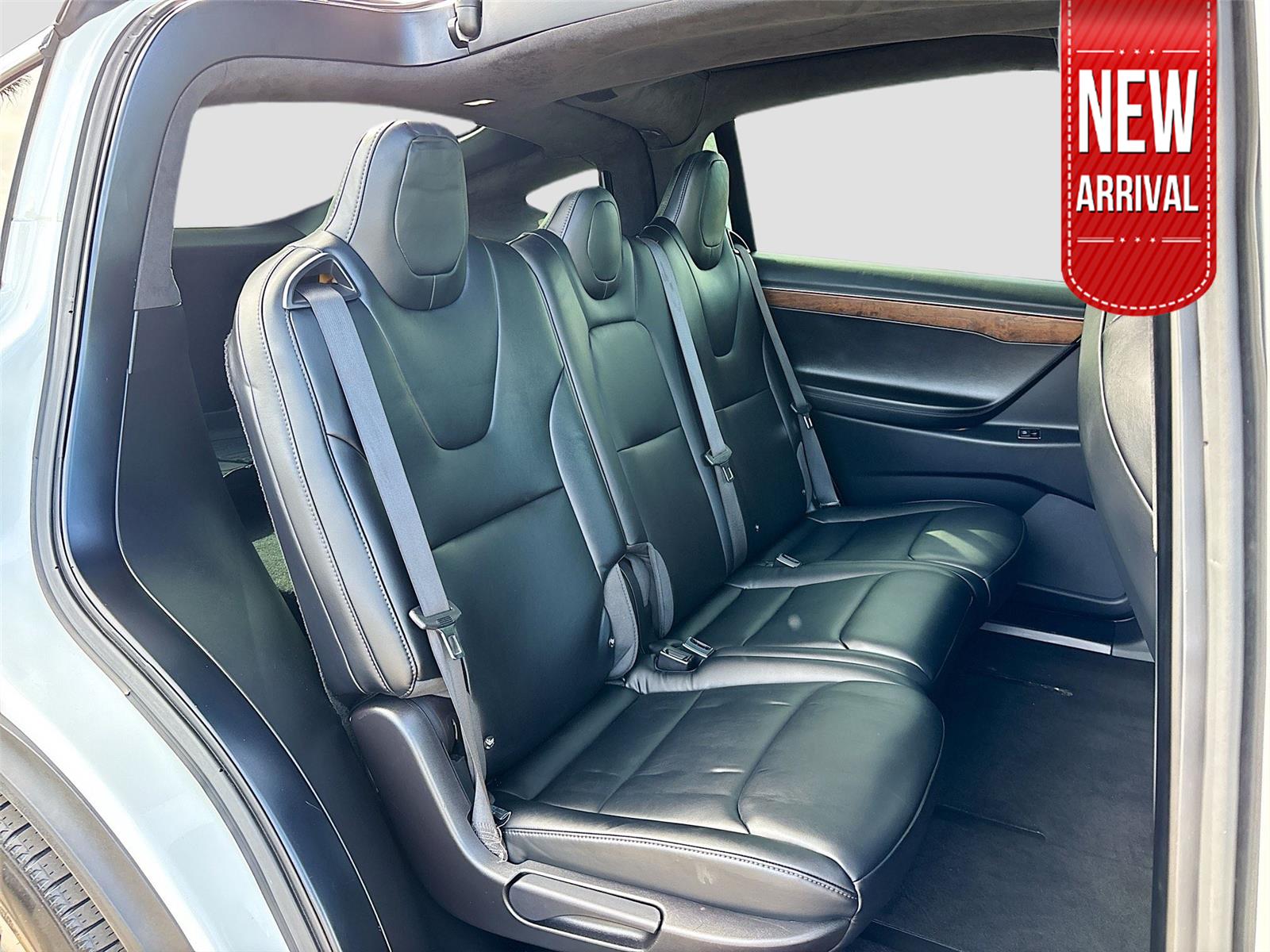 2017 Tesla Model X 100D