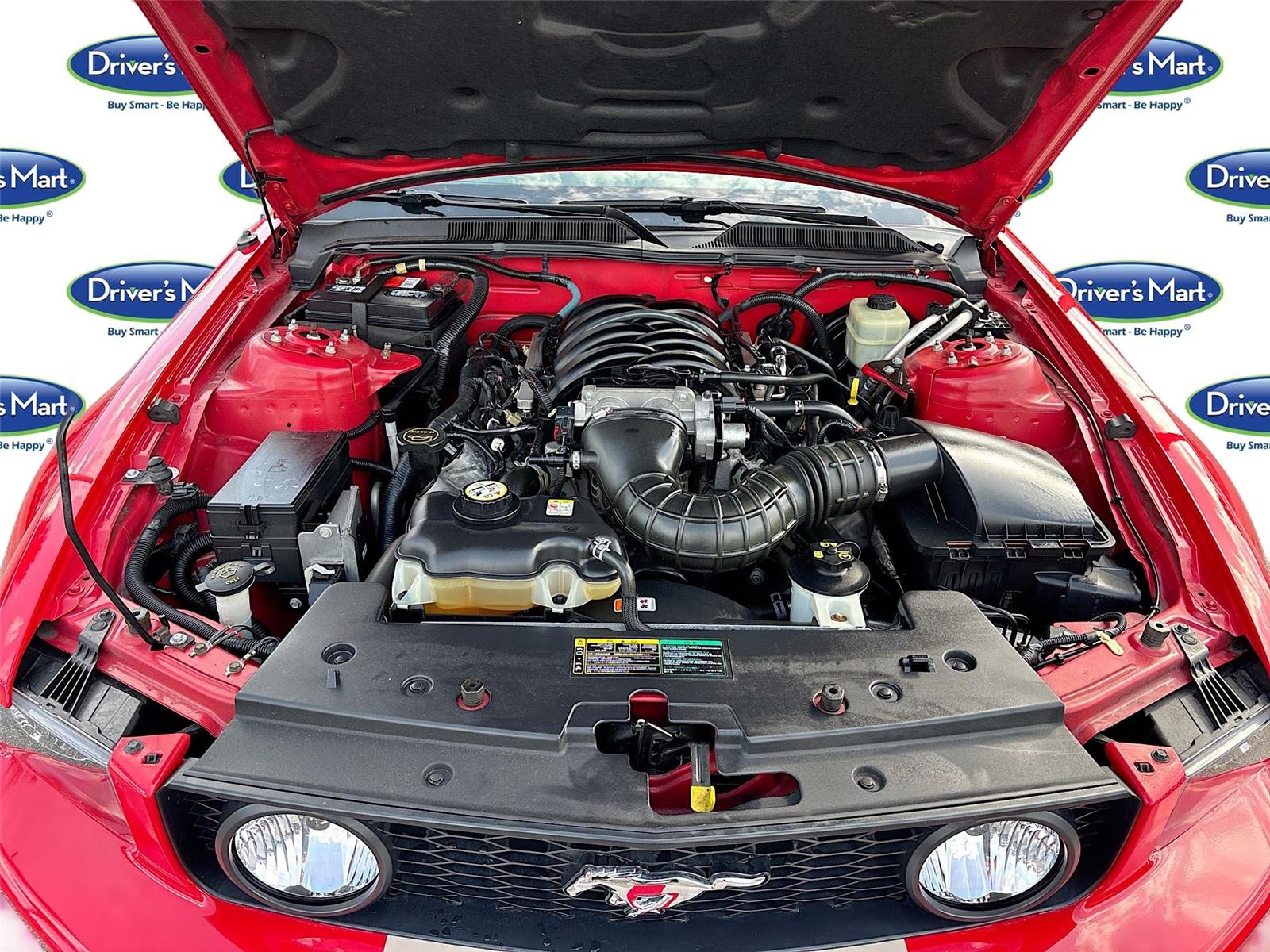 2005 FORD MUSTANG GT