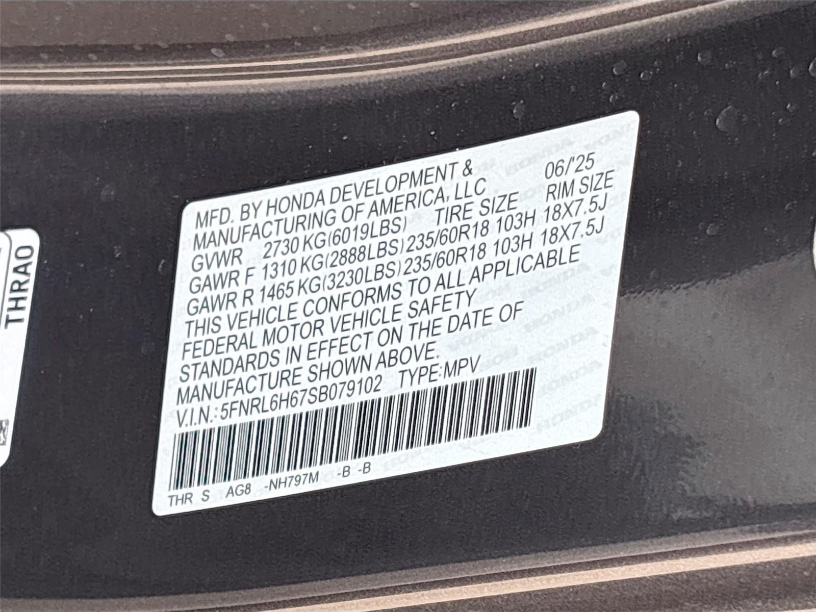 2025 Honda Odyssey EX-L