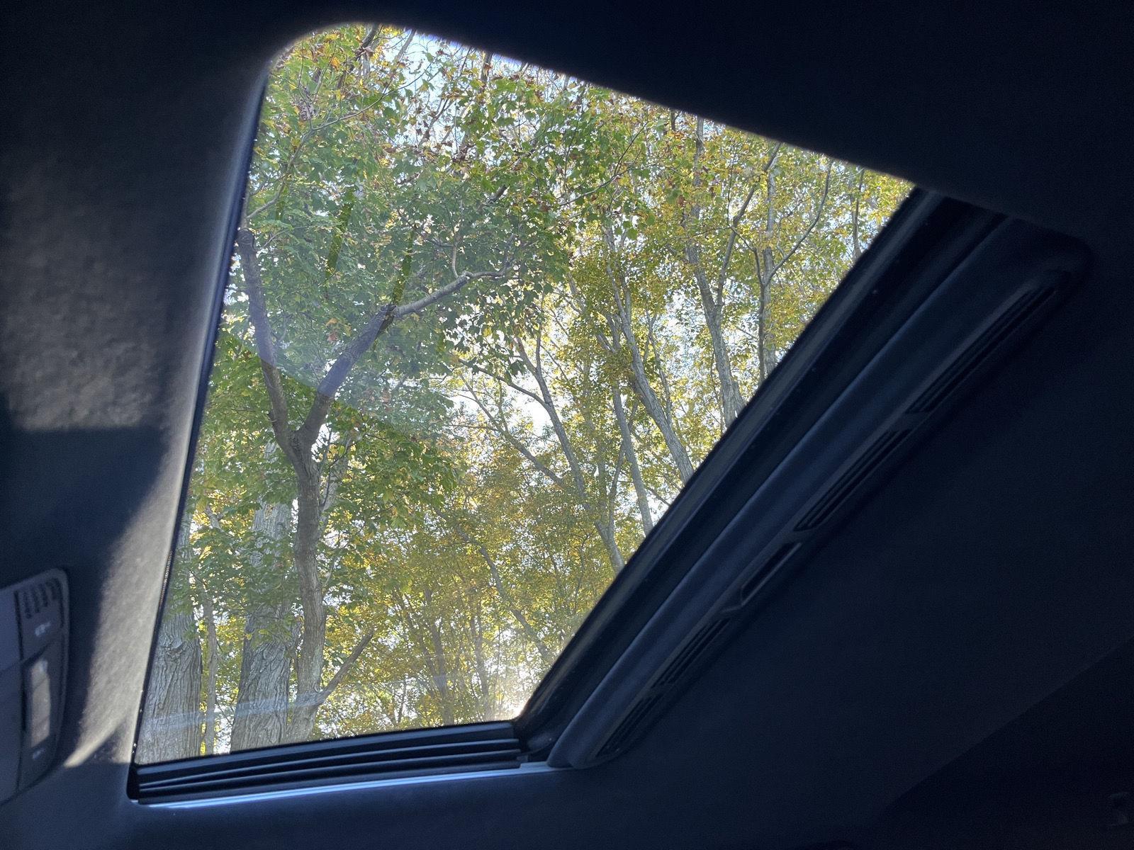 View 82