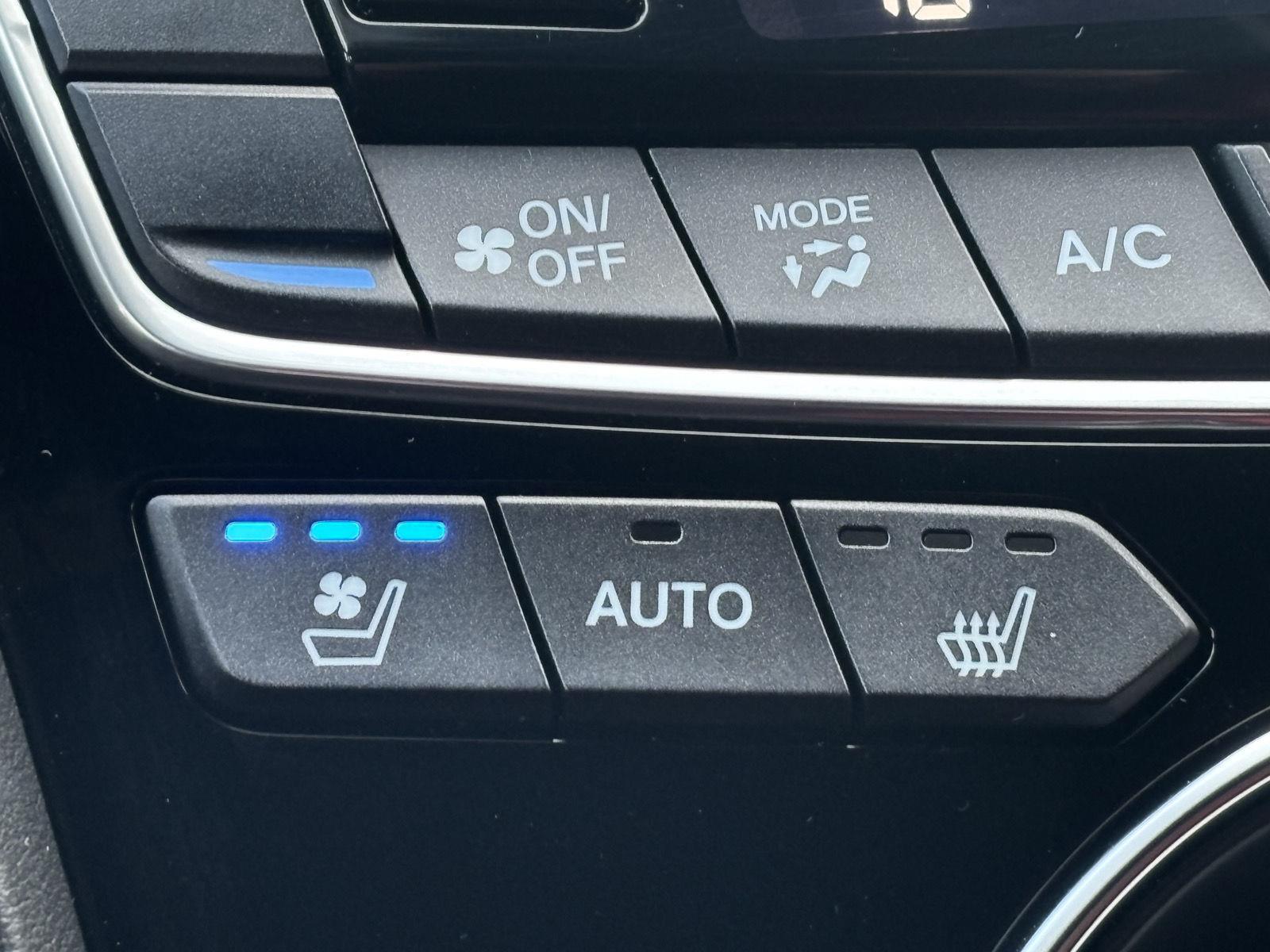 Topsfield Motor Company