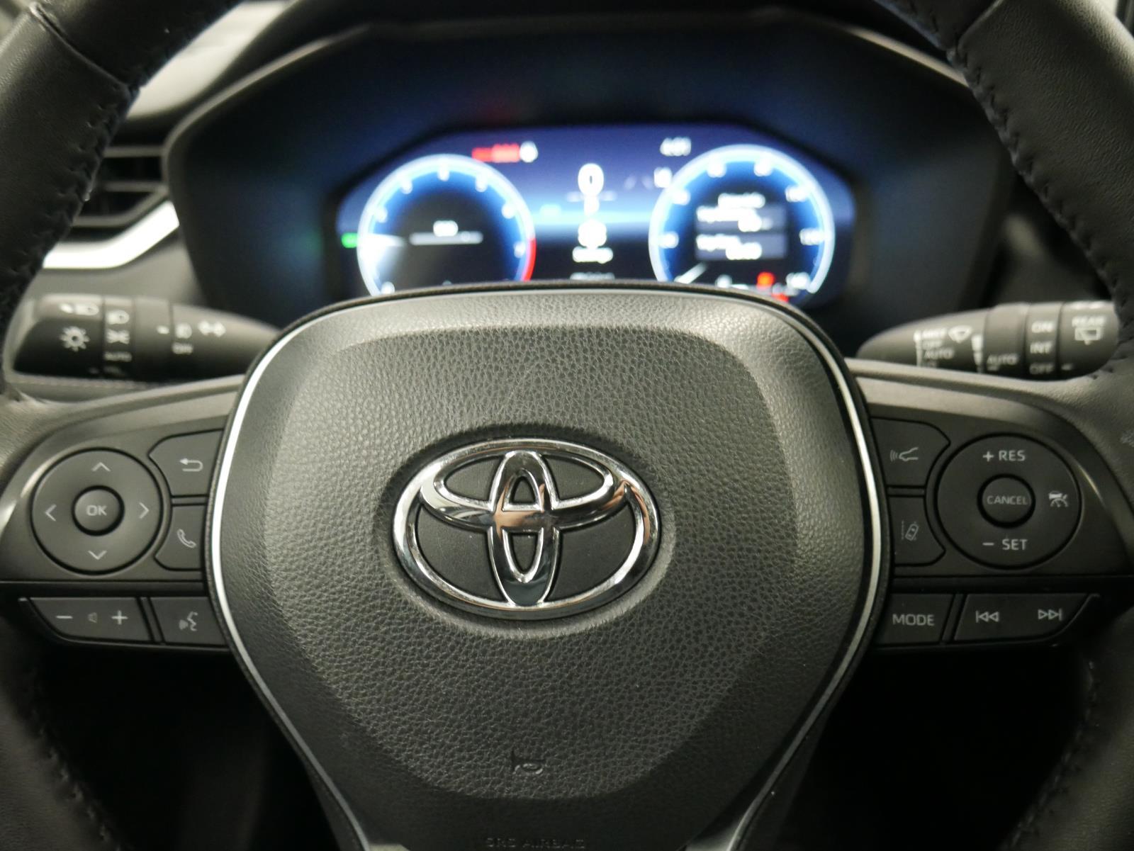 2024 Toyota RAV4 Limited 19