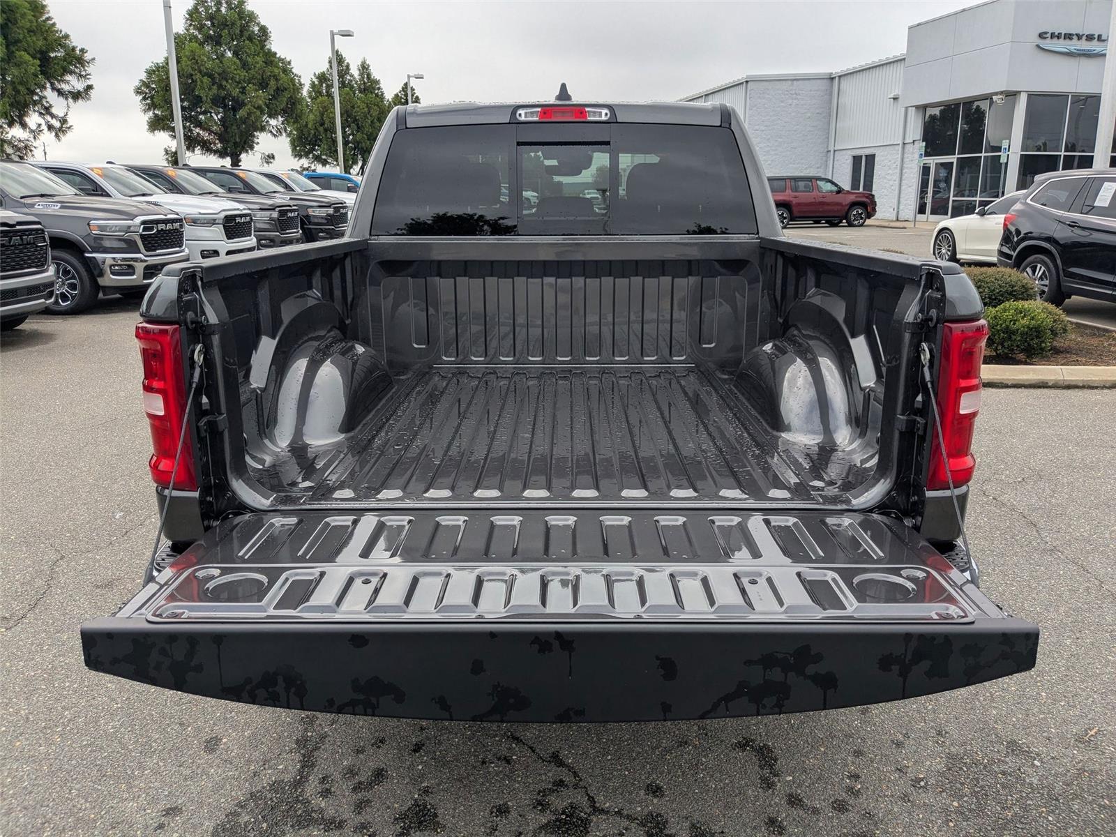 New 2026 Granite Crystal Metallic Clear Ram Big Horn image 26