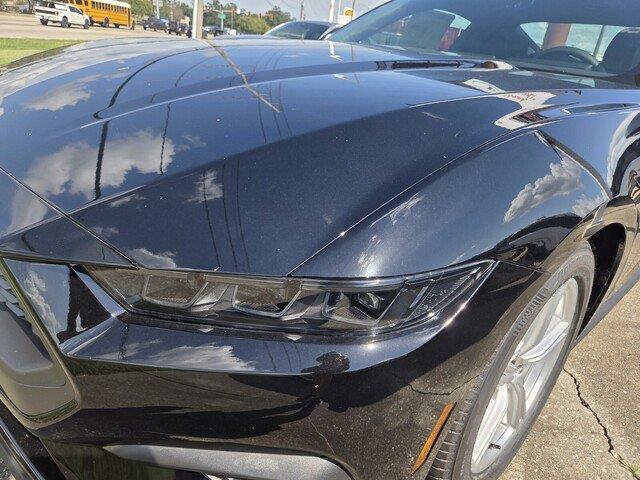 New 2026 Shadow Black Ford EcoBoost image 10