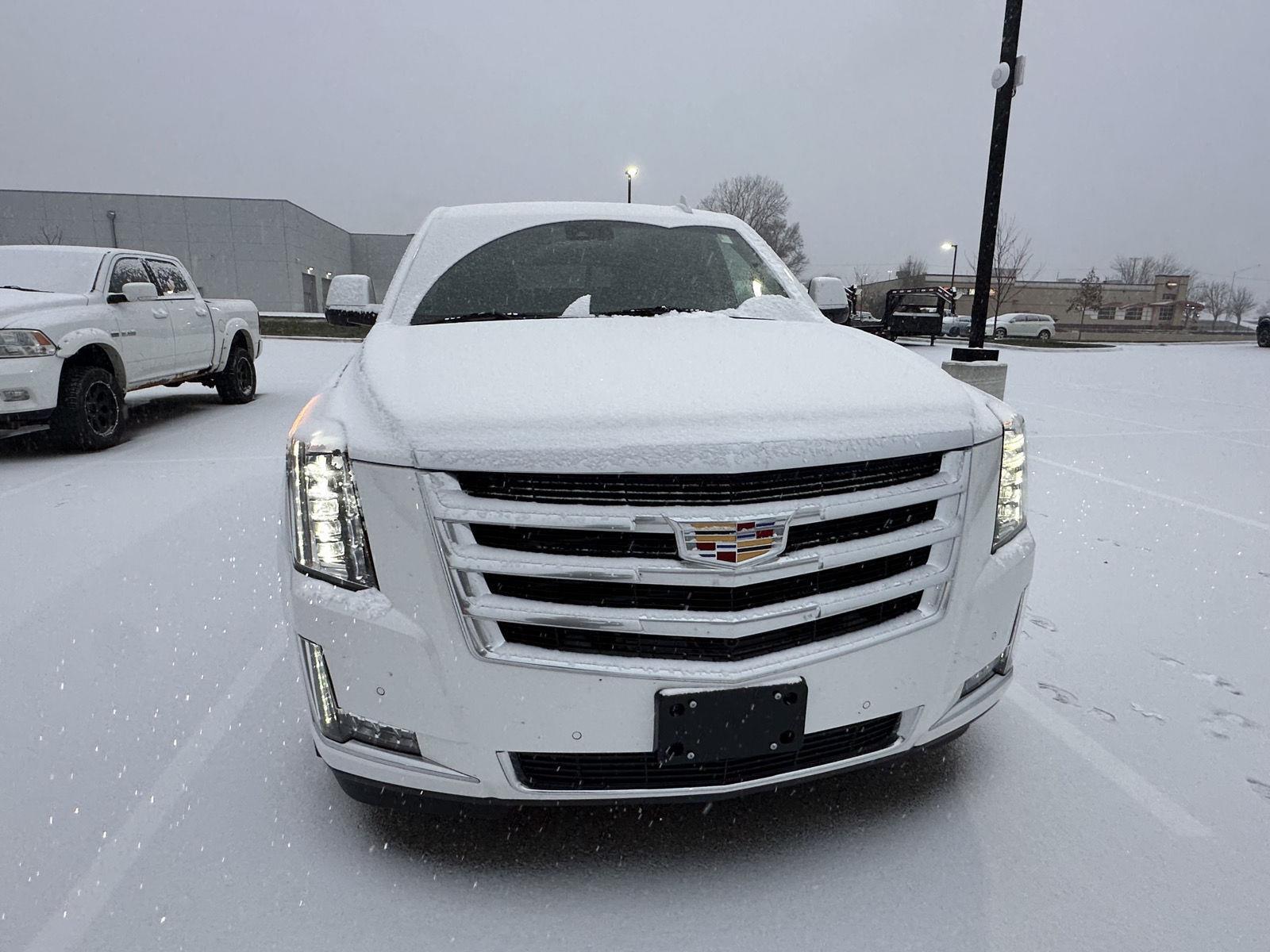 2016 Cadillac Escalade Luxury photo 2