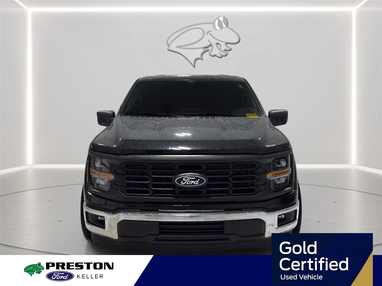 2025 Ford F-150 XL Regular Cab RWD