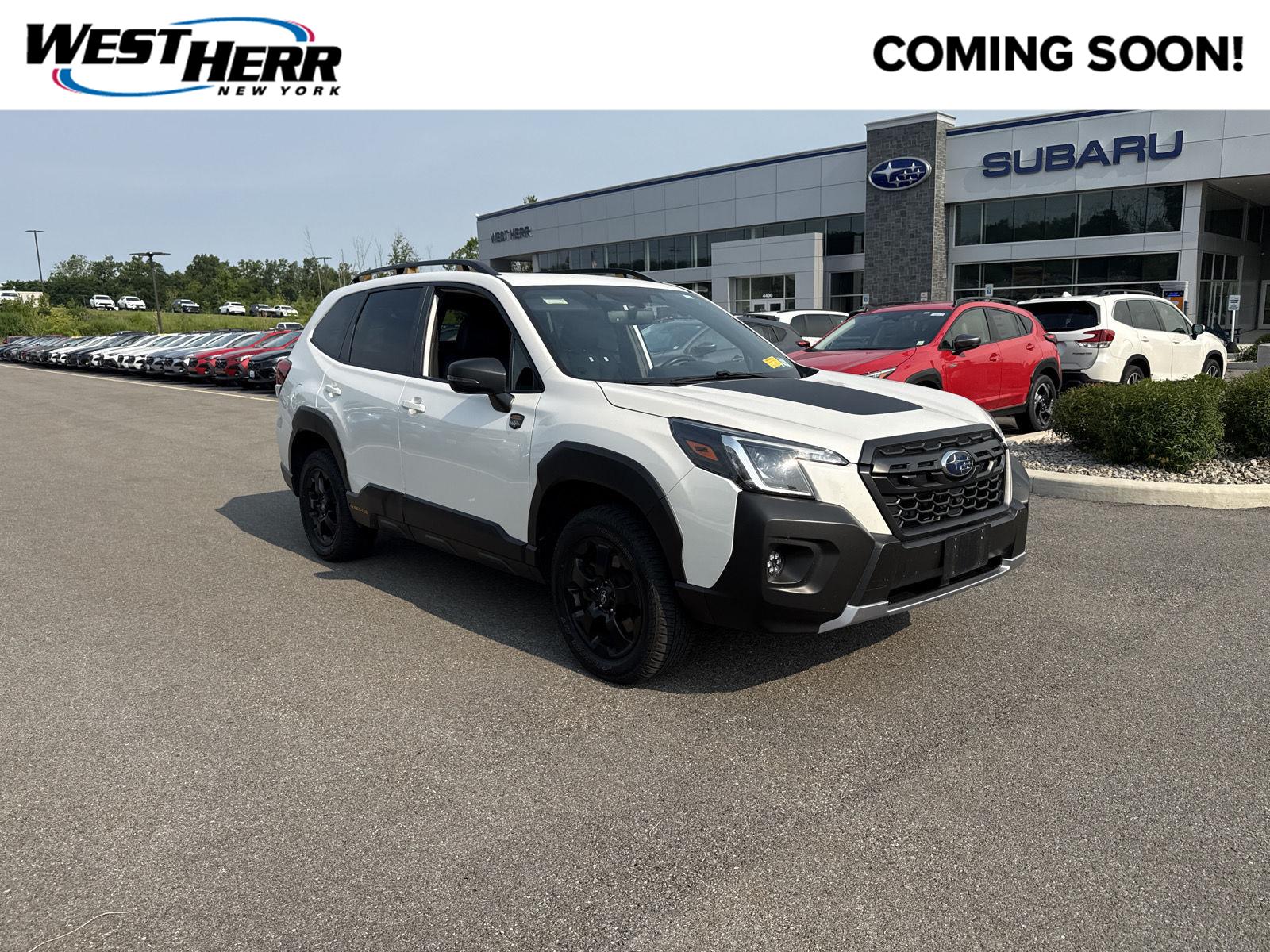 2023 Subaru Forester Wilderness