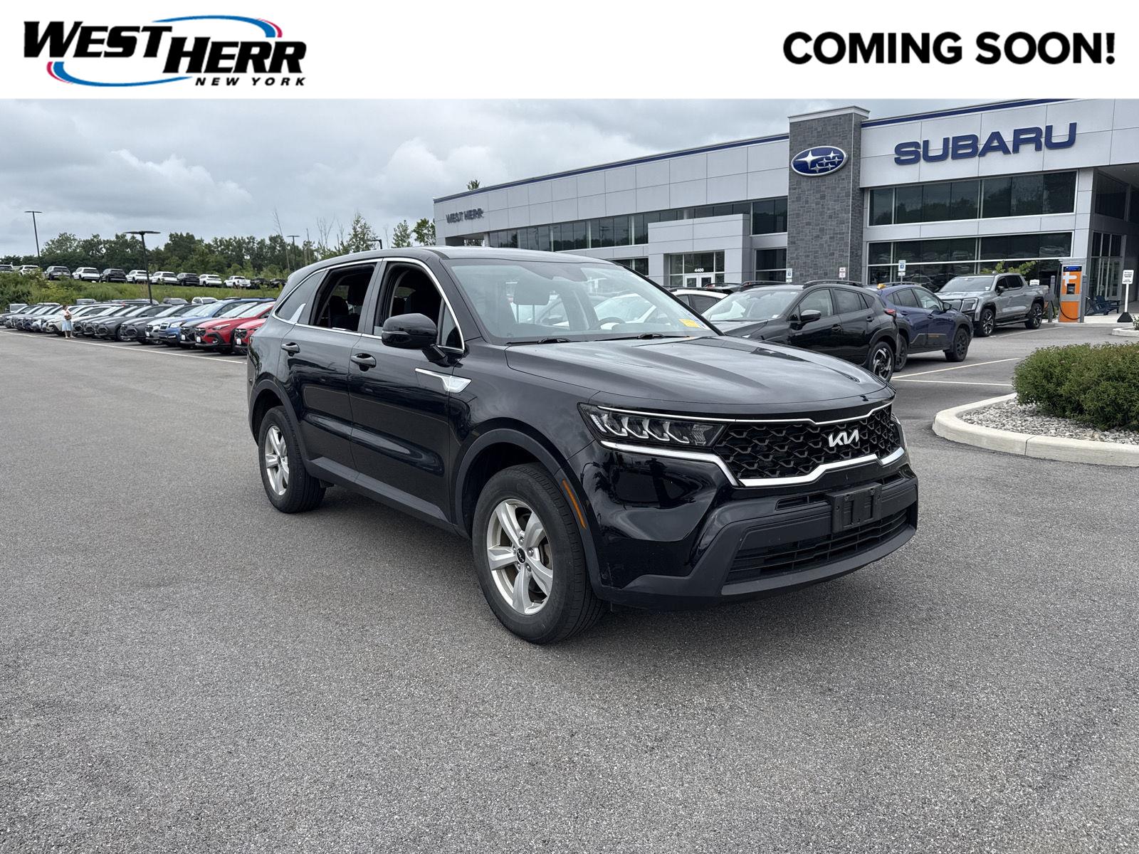 Ebony Black 2023 Kia Sorento SUV / Crossover All-Wheel Drive Automatic