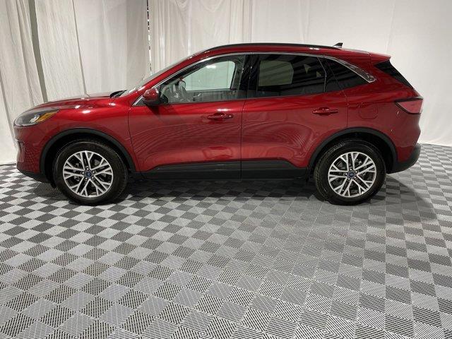 Used 2022 Ford Escape SEL Sport Utility for sale in St Joseph MO