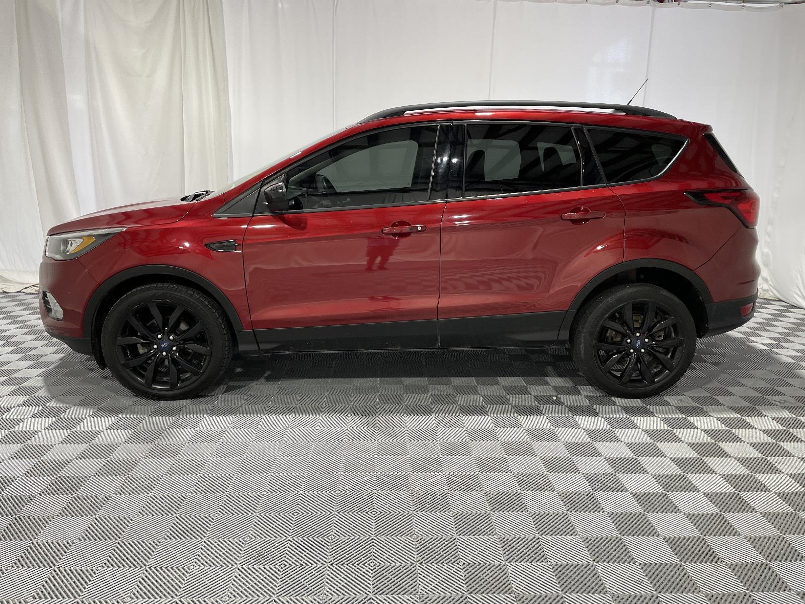 Certified 2019 Ford Escape SE with VIN 1FMCU0GD2KUB02529 for sale in Kansas City