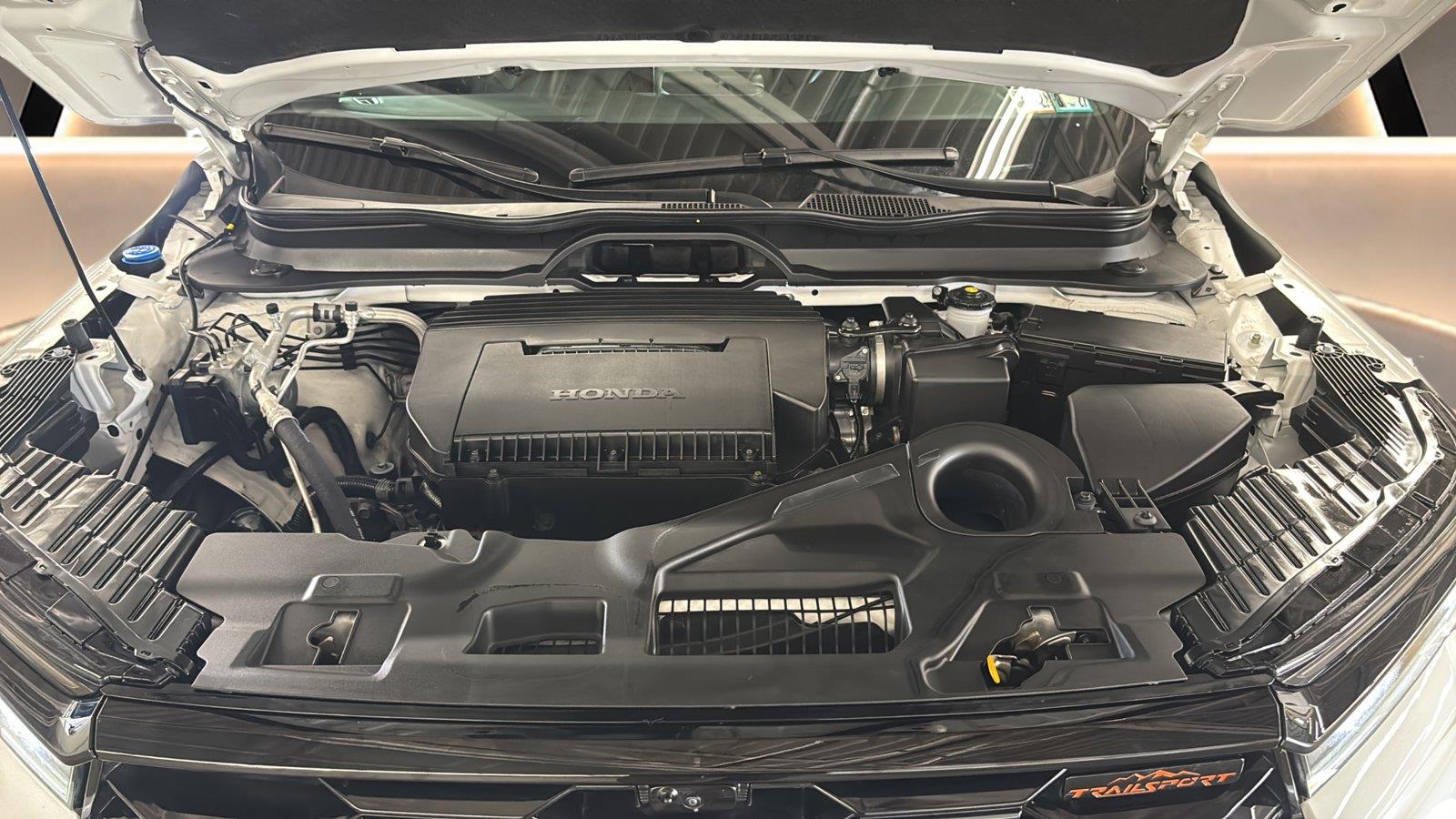 2025 Honda Pilot TrailSport at Honda North
