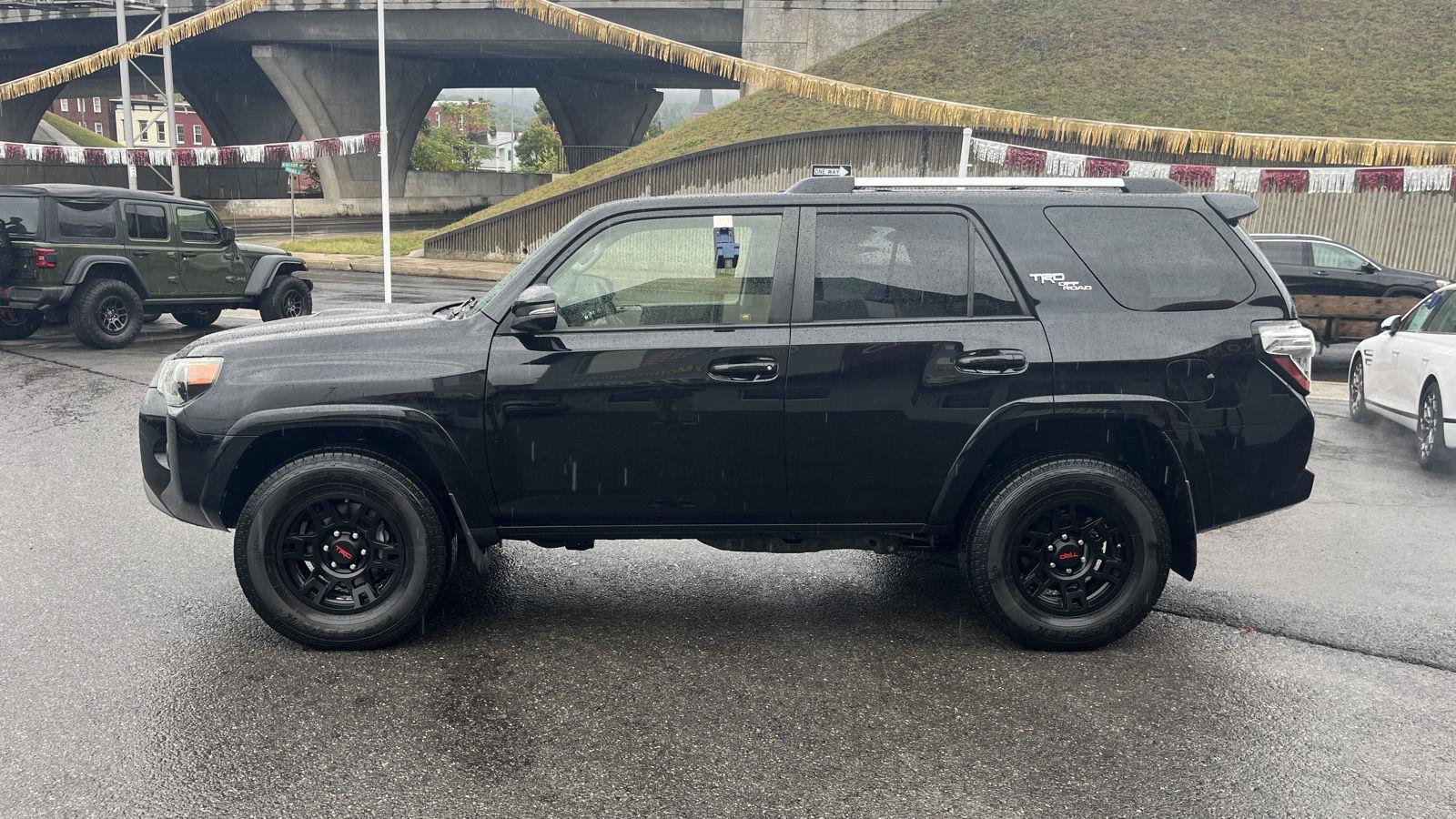Queen City Motors