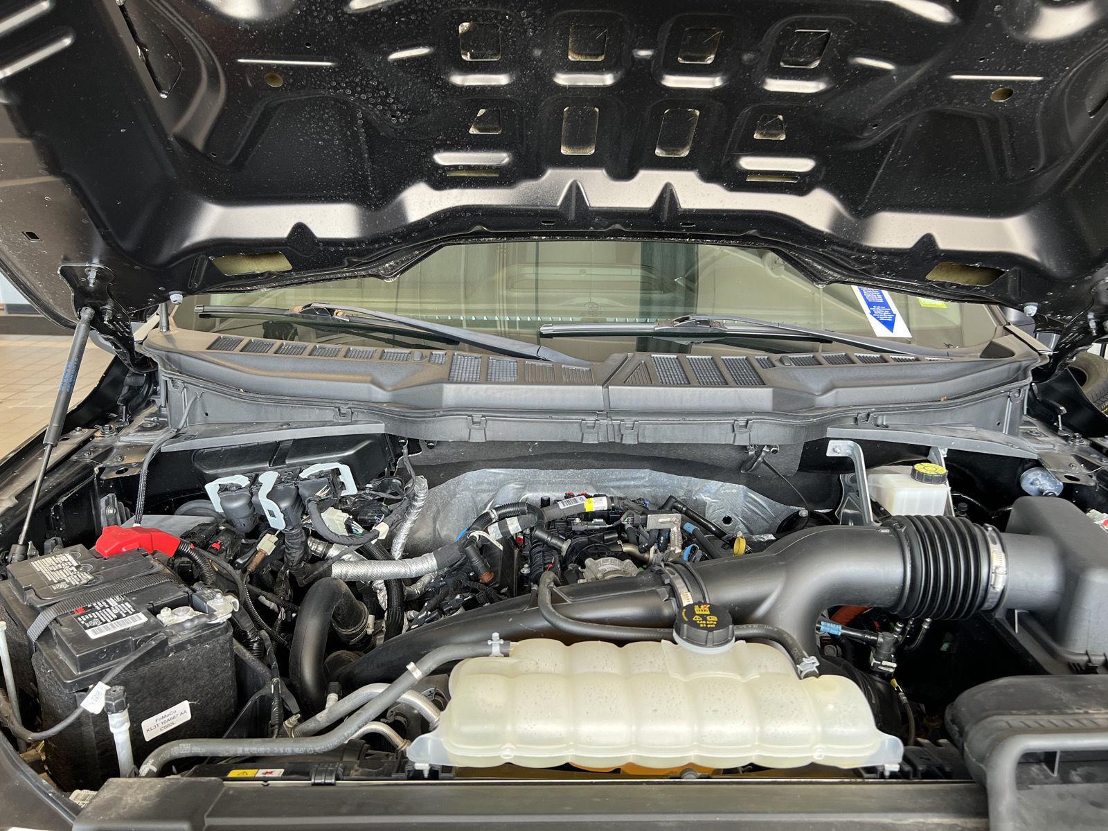 Used 2023 Agate Black Ford XL image 14